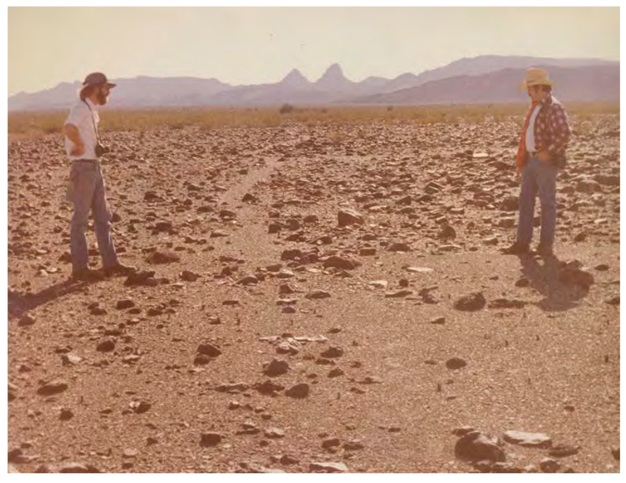 Preprints 190680 g010