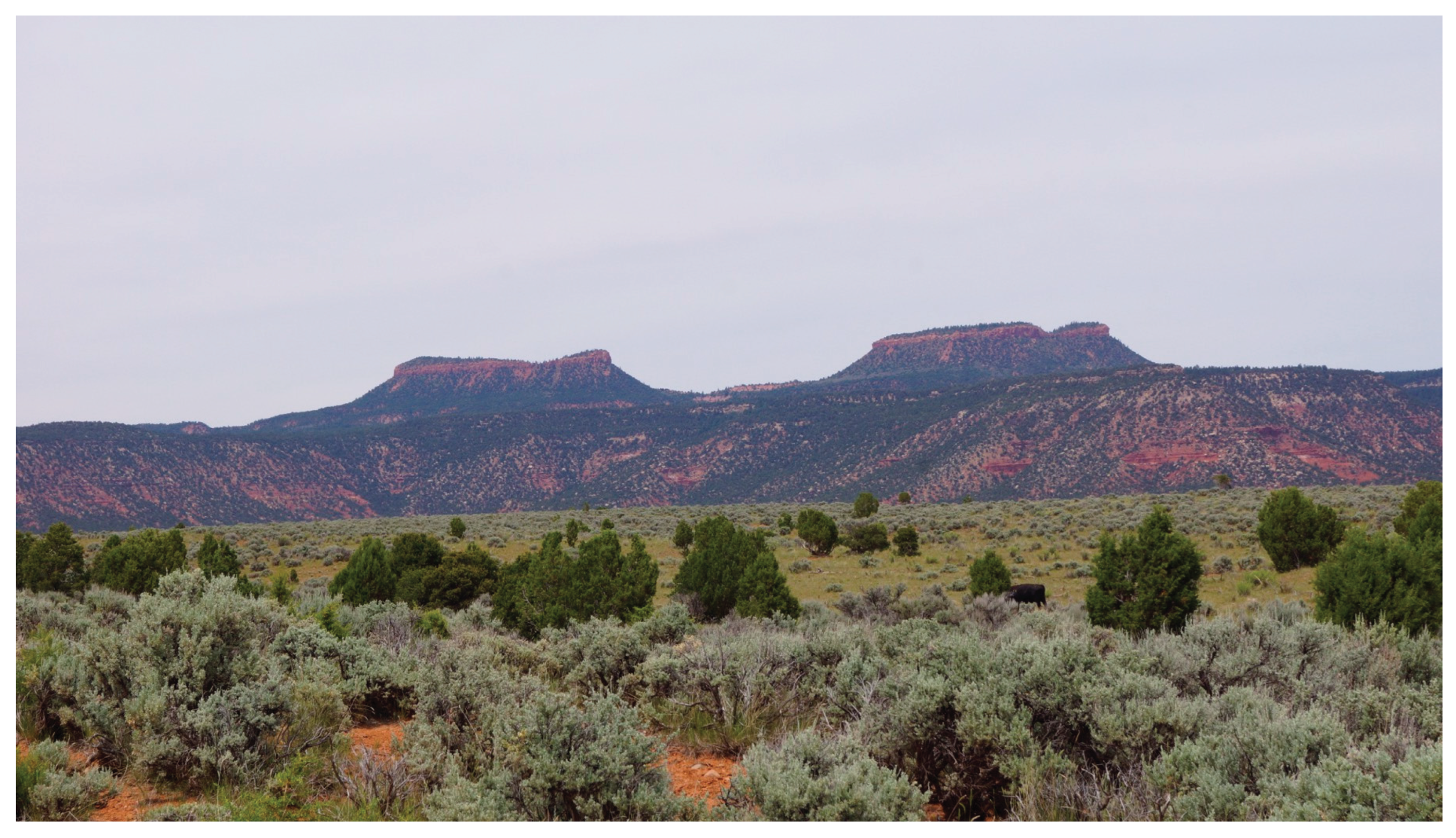 Preprints 190680 g011