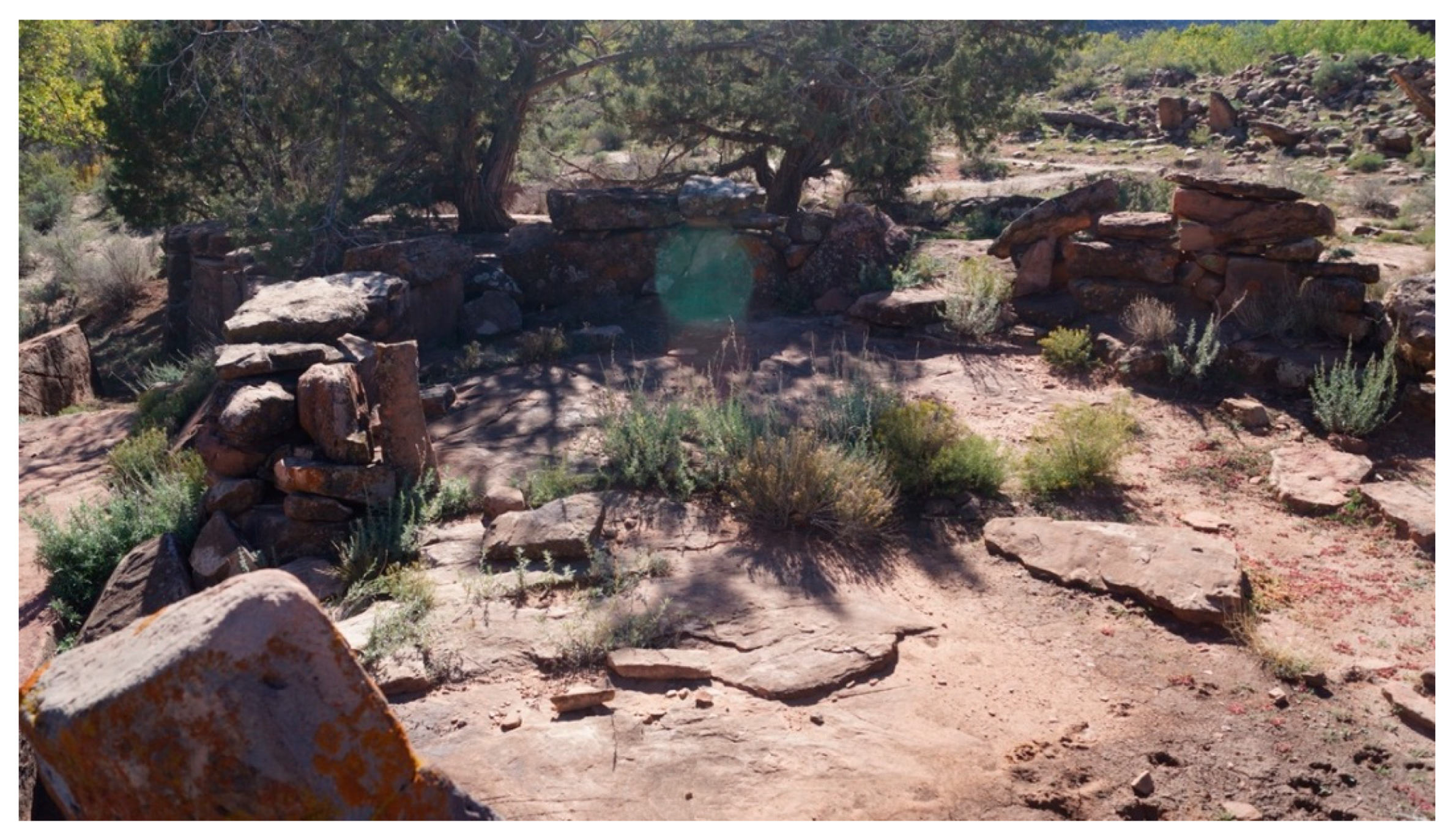 Preprints 190680 g014