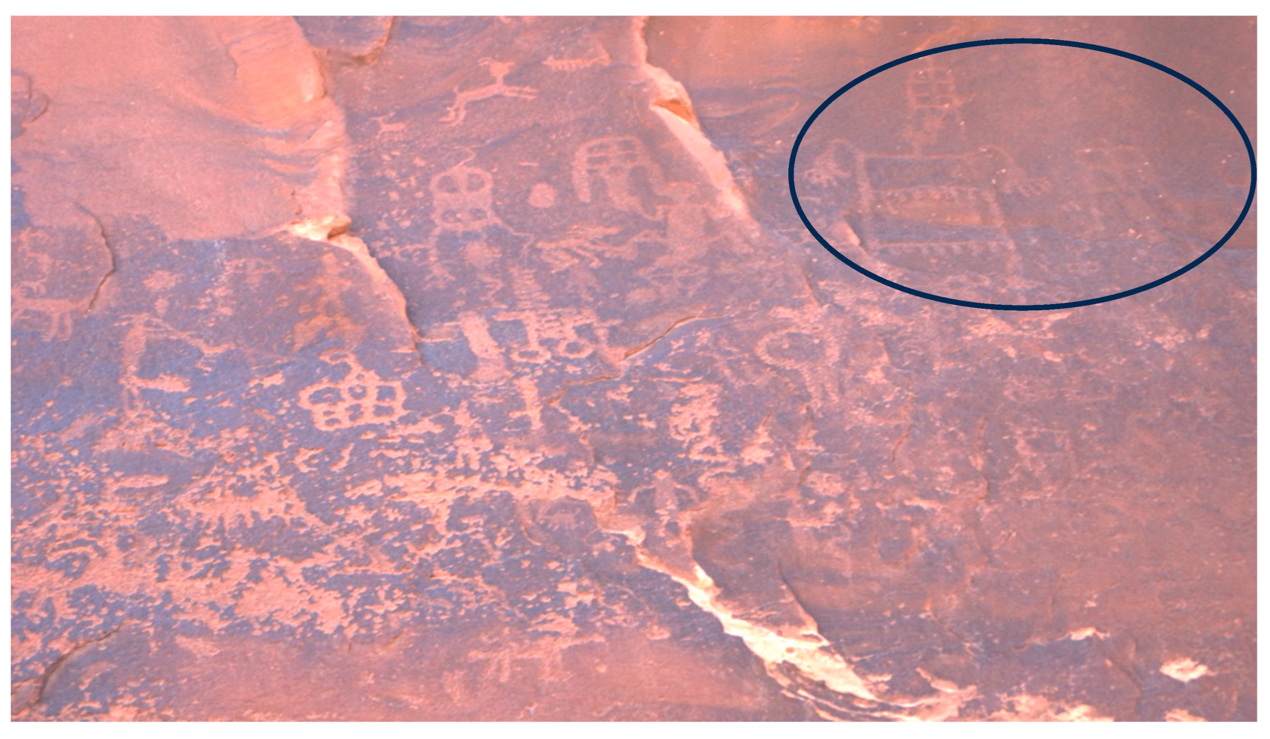 Preprints 190680 g015