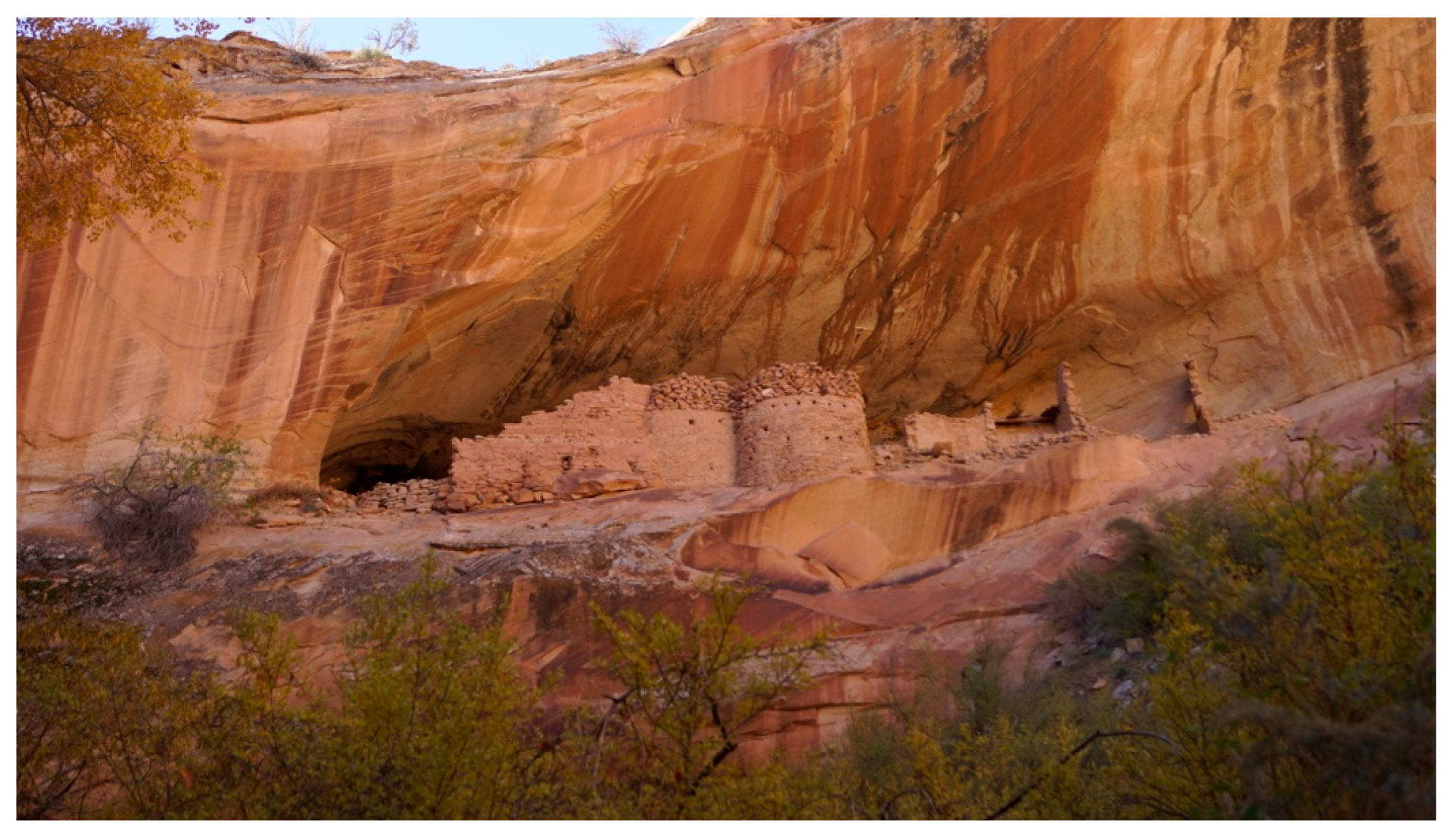 Preprints 190680 g016