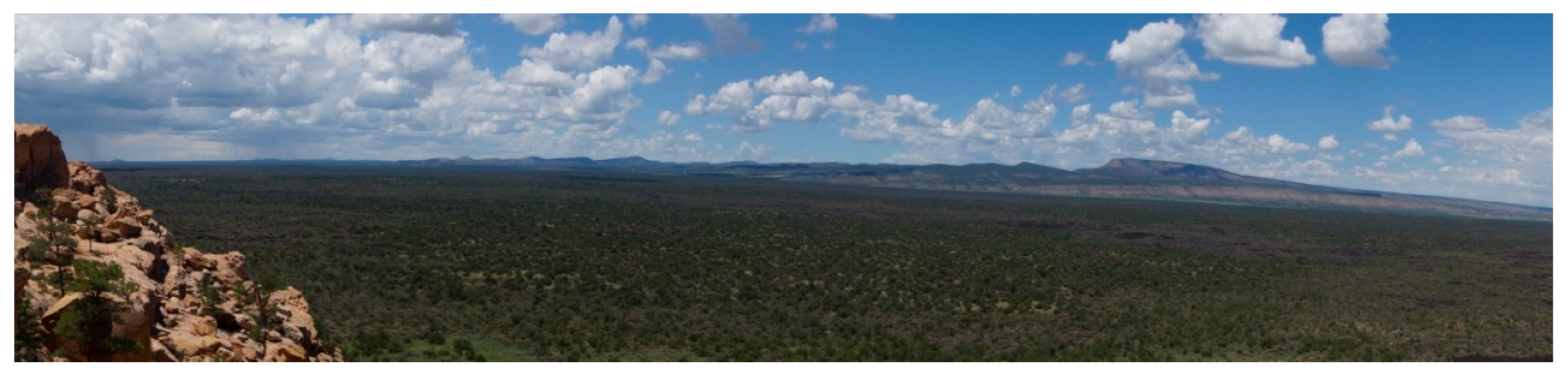 Preprints 190680 g018