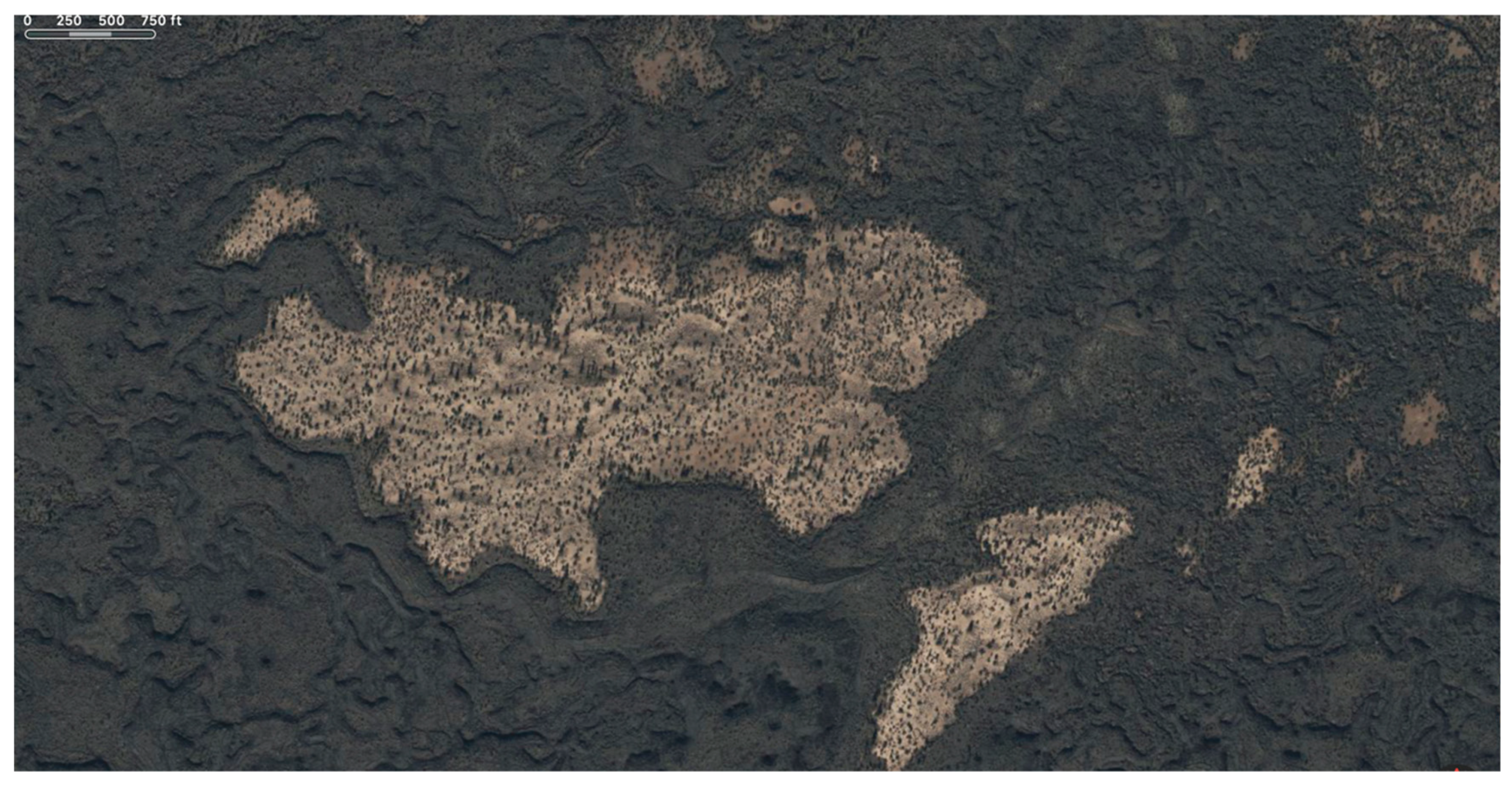 Preprints 190680 g020