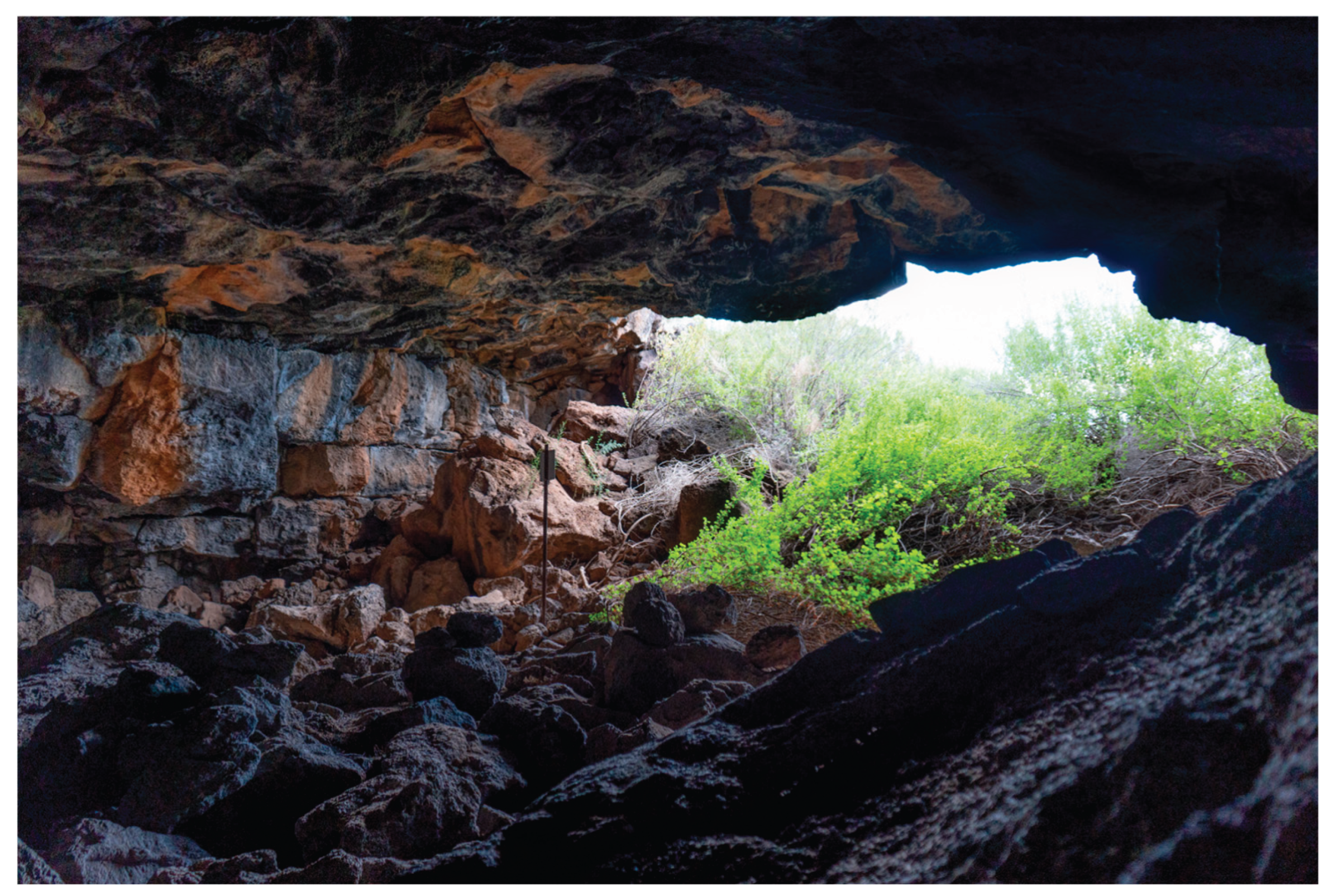 Preprints 190680 g022