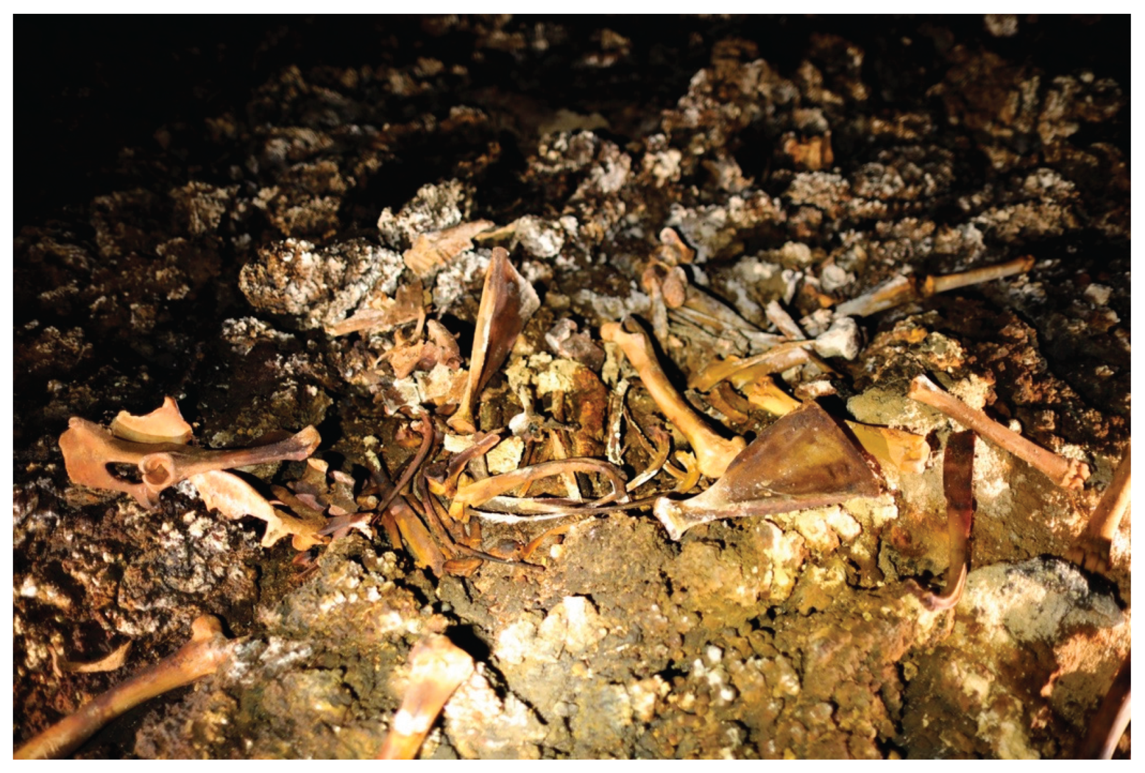 Preprints 190680 g023