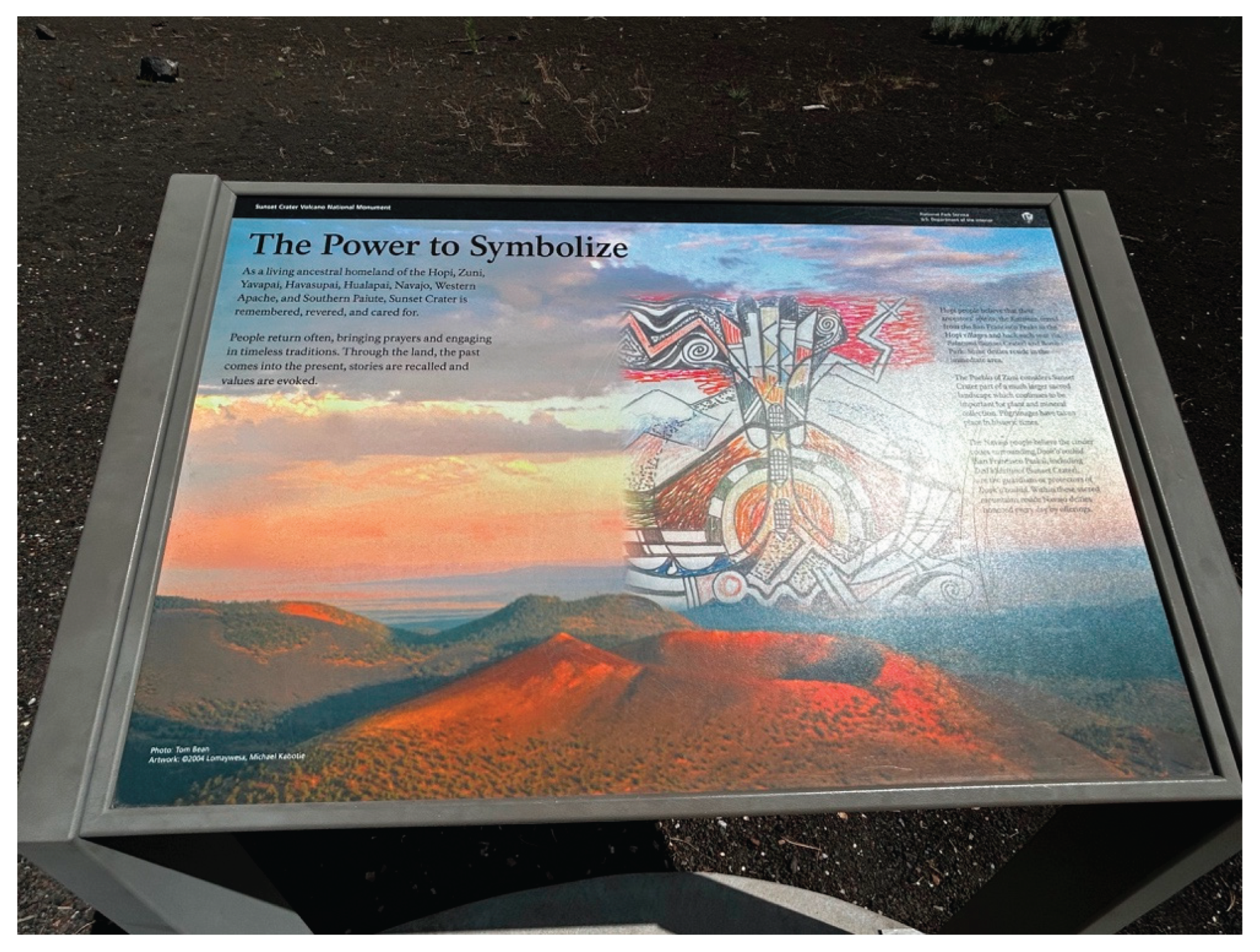 Preprints 190680 g026