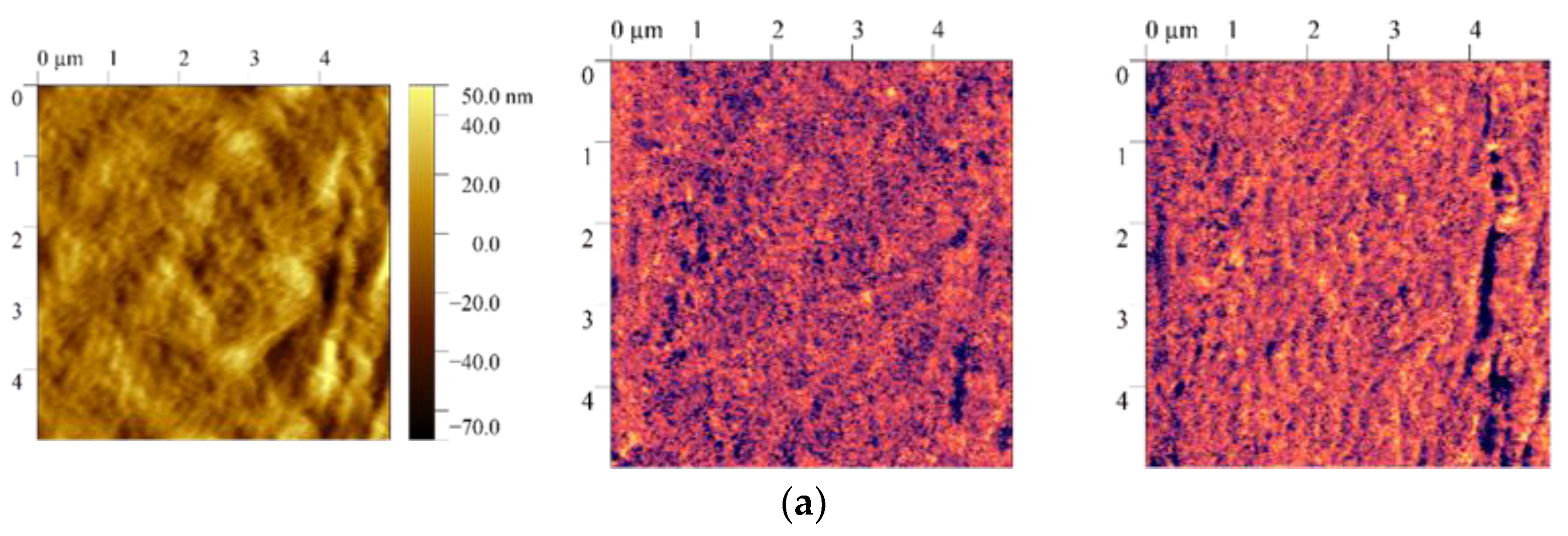 Preprints 162202 g003a