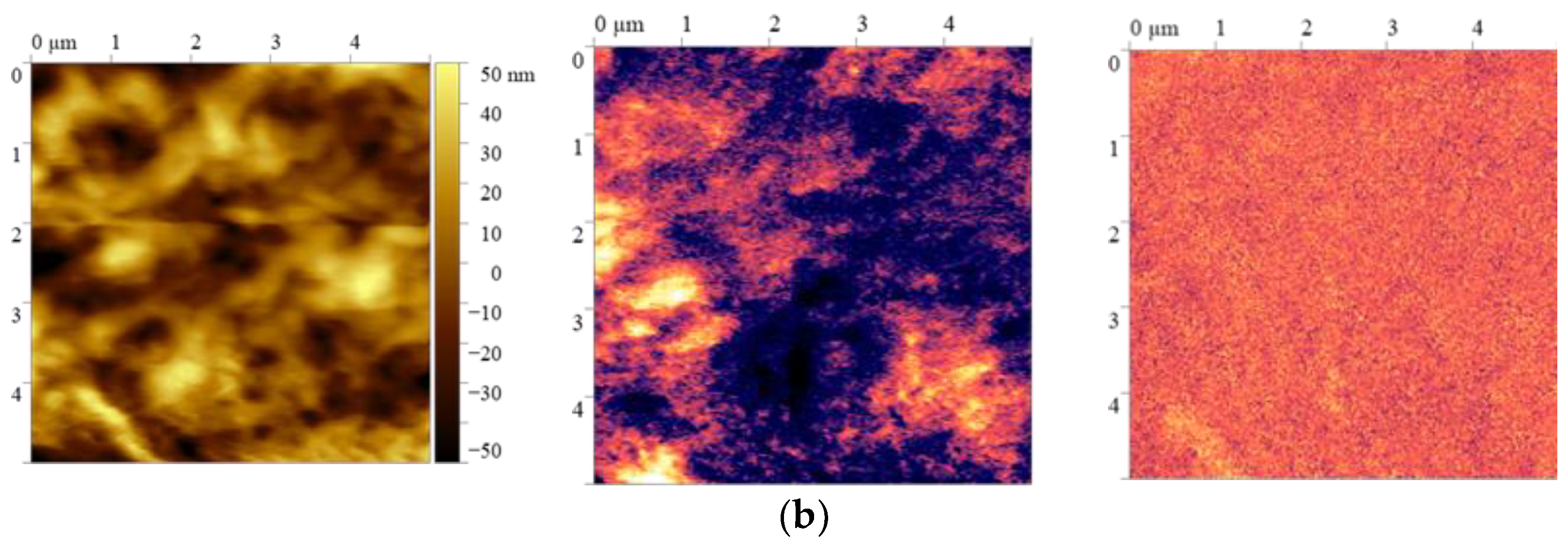 Preprints 162202 g003b