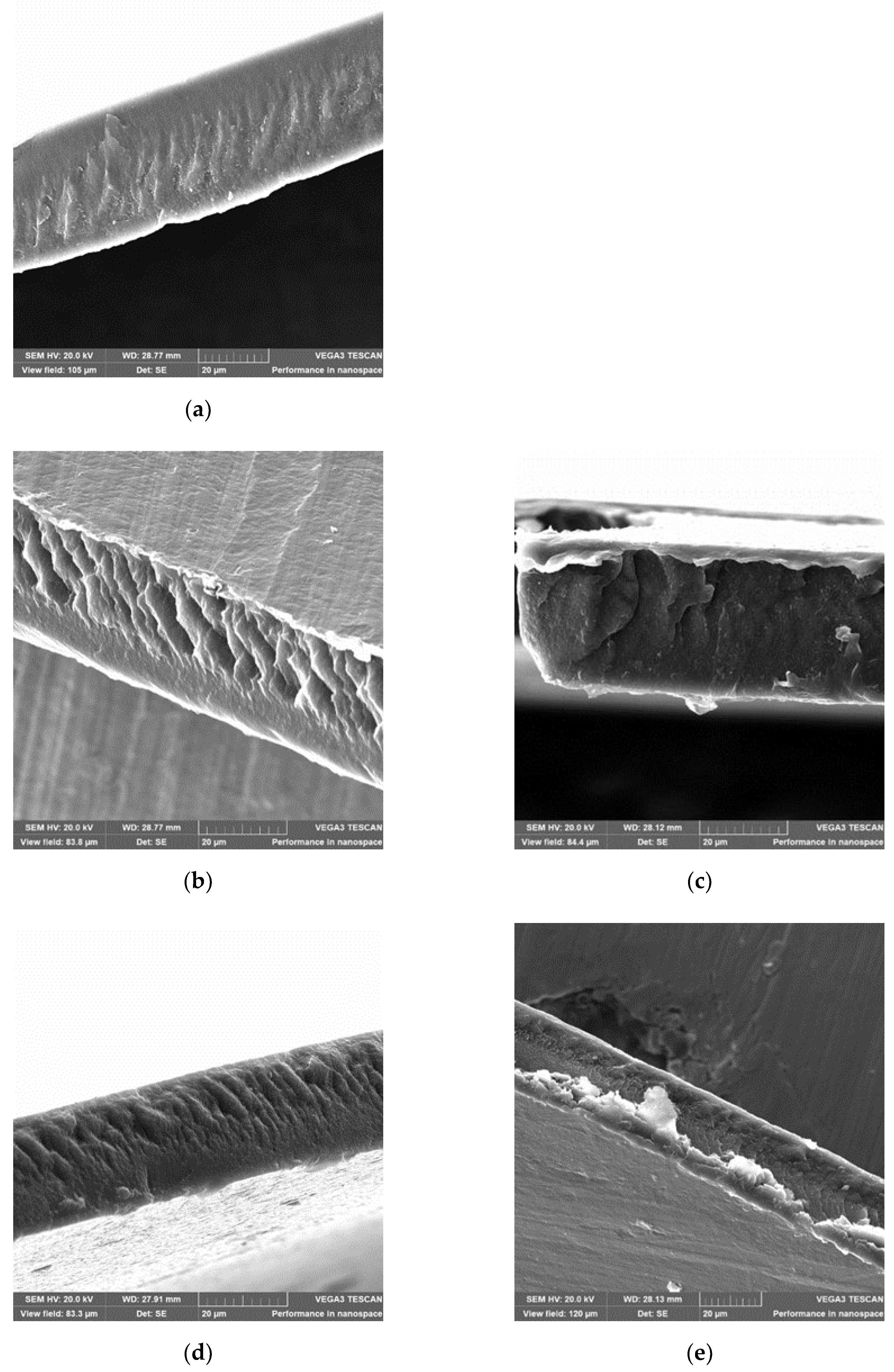 Preprints 162202 g007