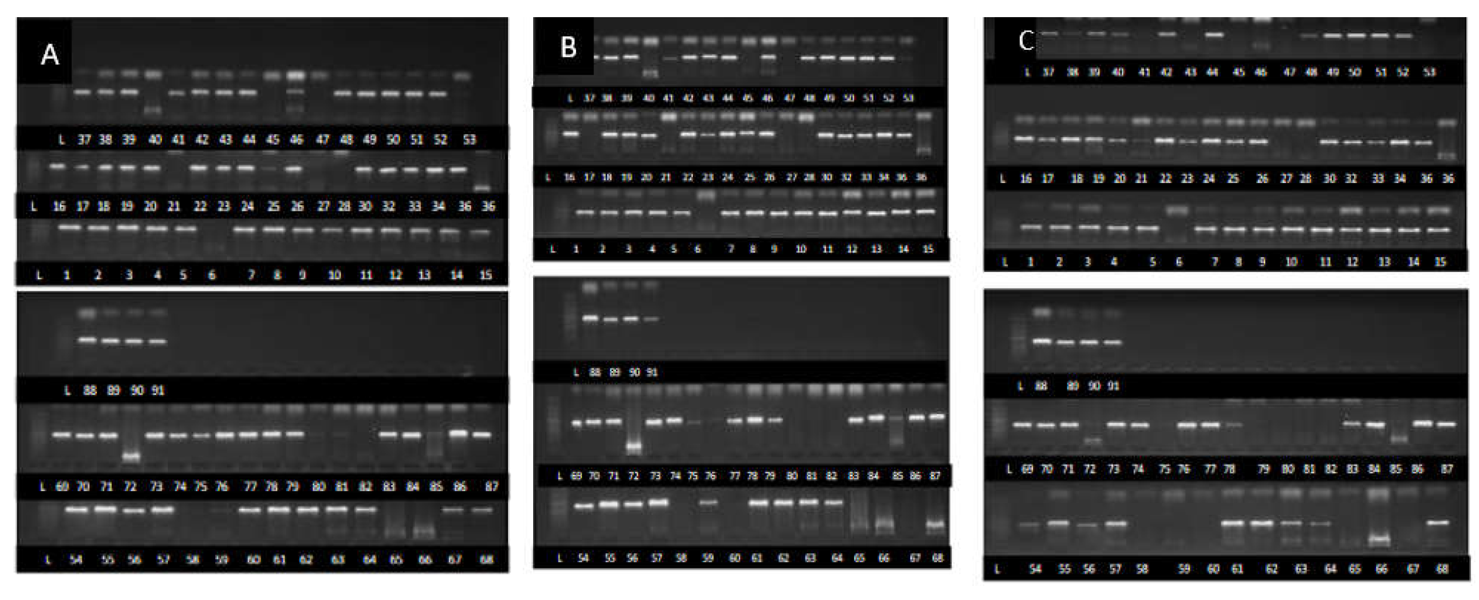 Preprints 147889 g001