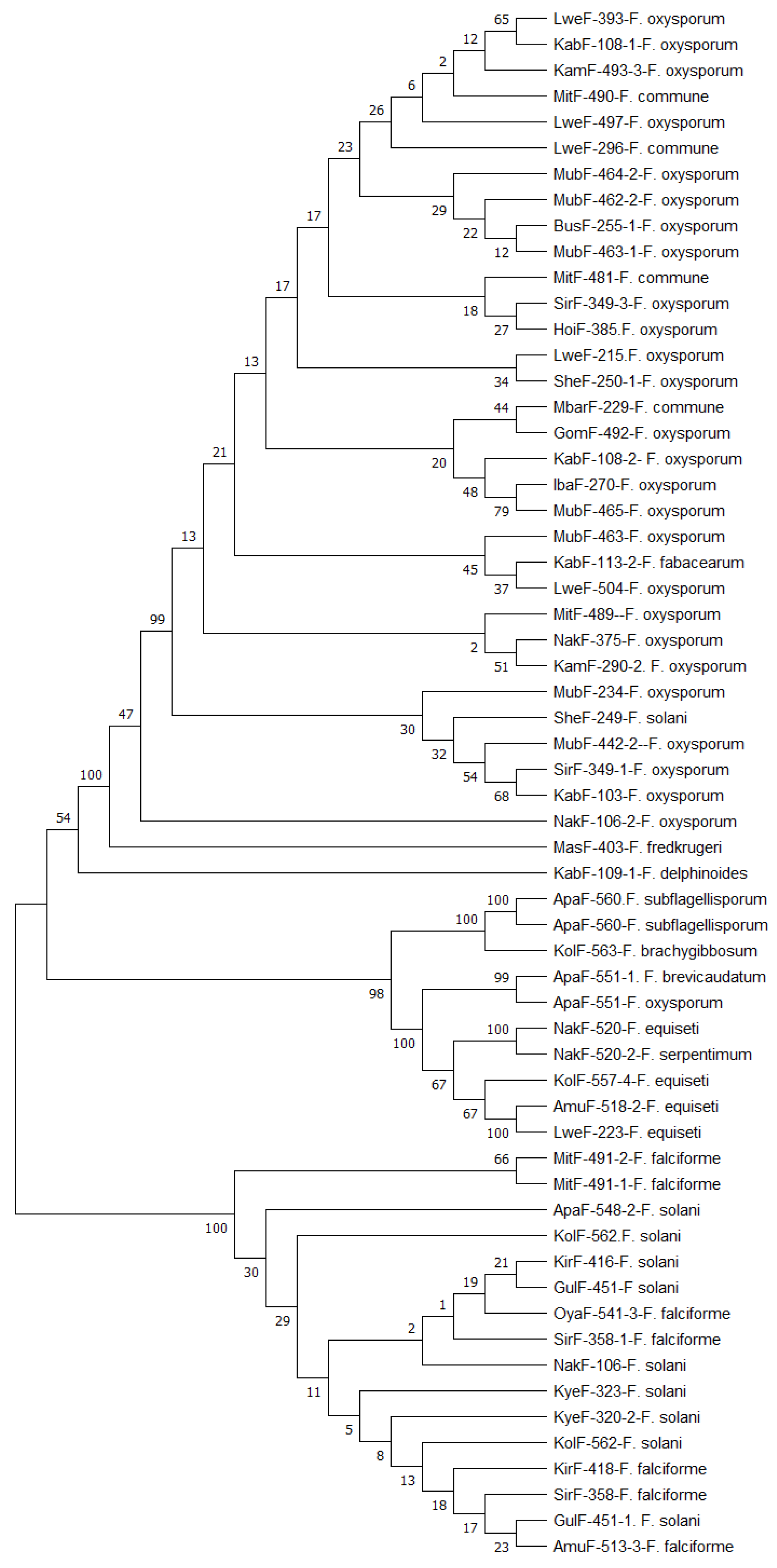 Preprints 147889 g002