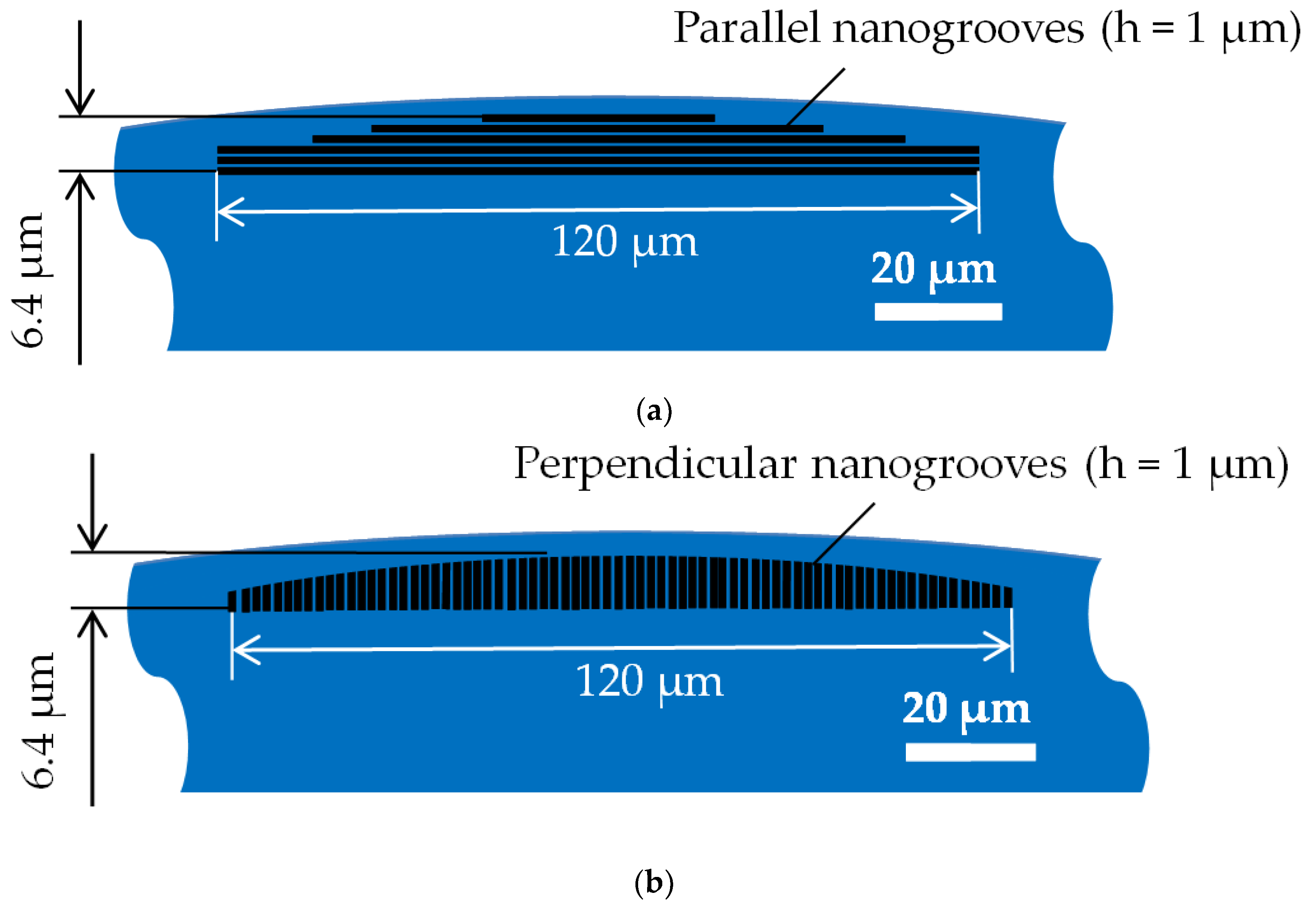 Preprints 188930 g002