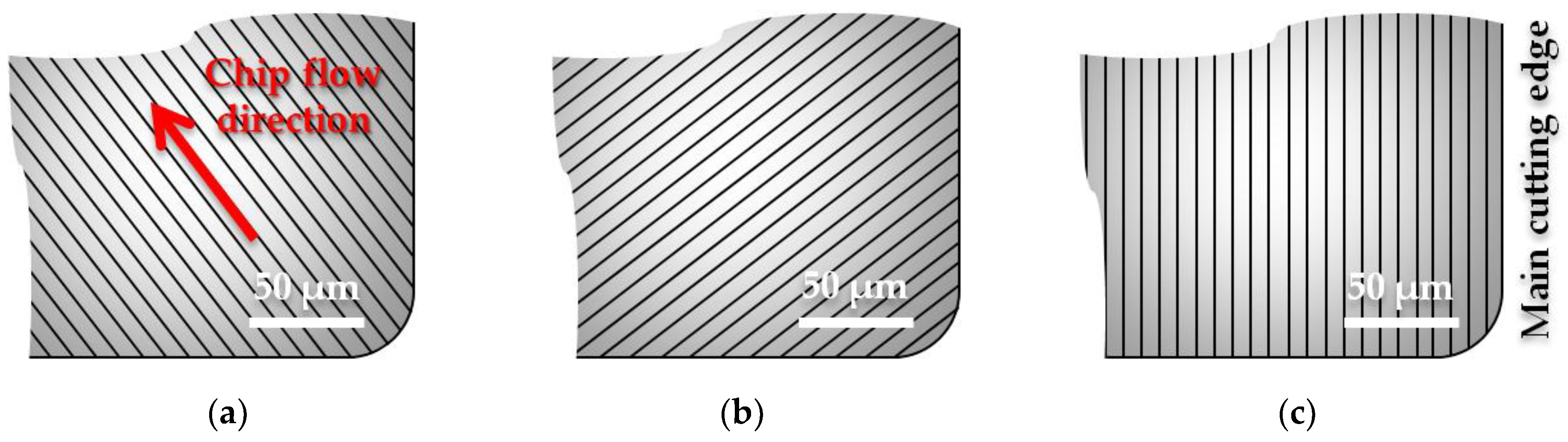 Preprints 188930 g003