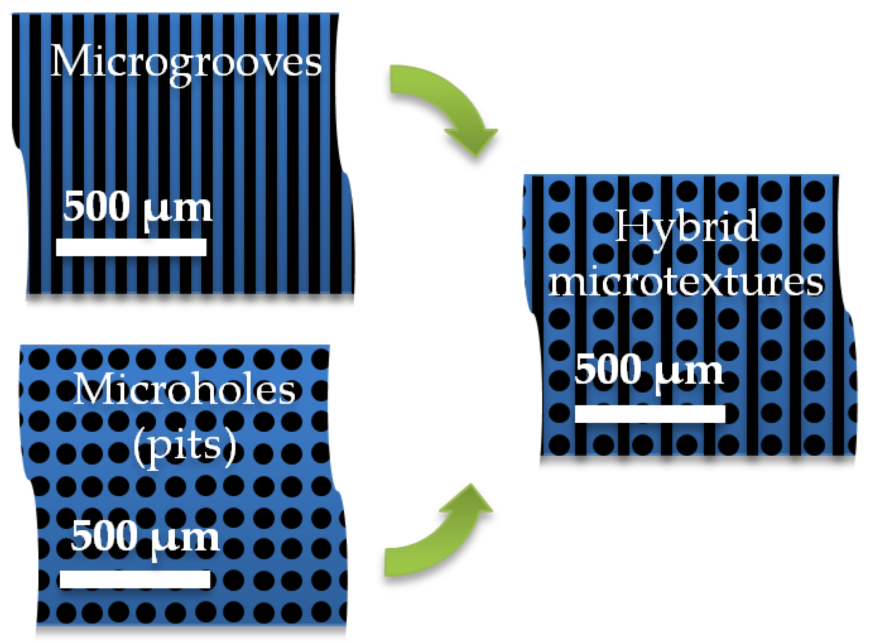Preprints 188930 g005
