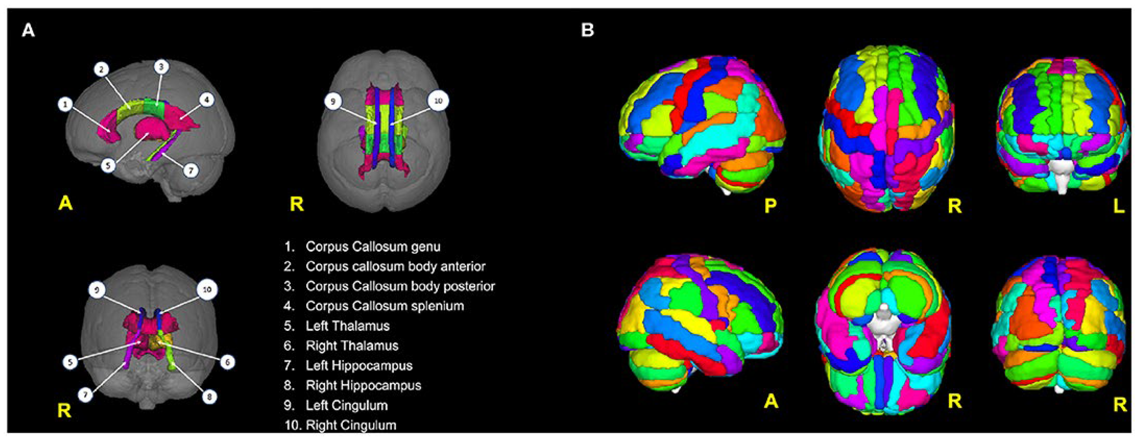 Preprints 98112 g009