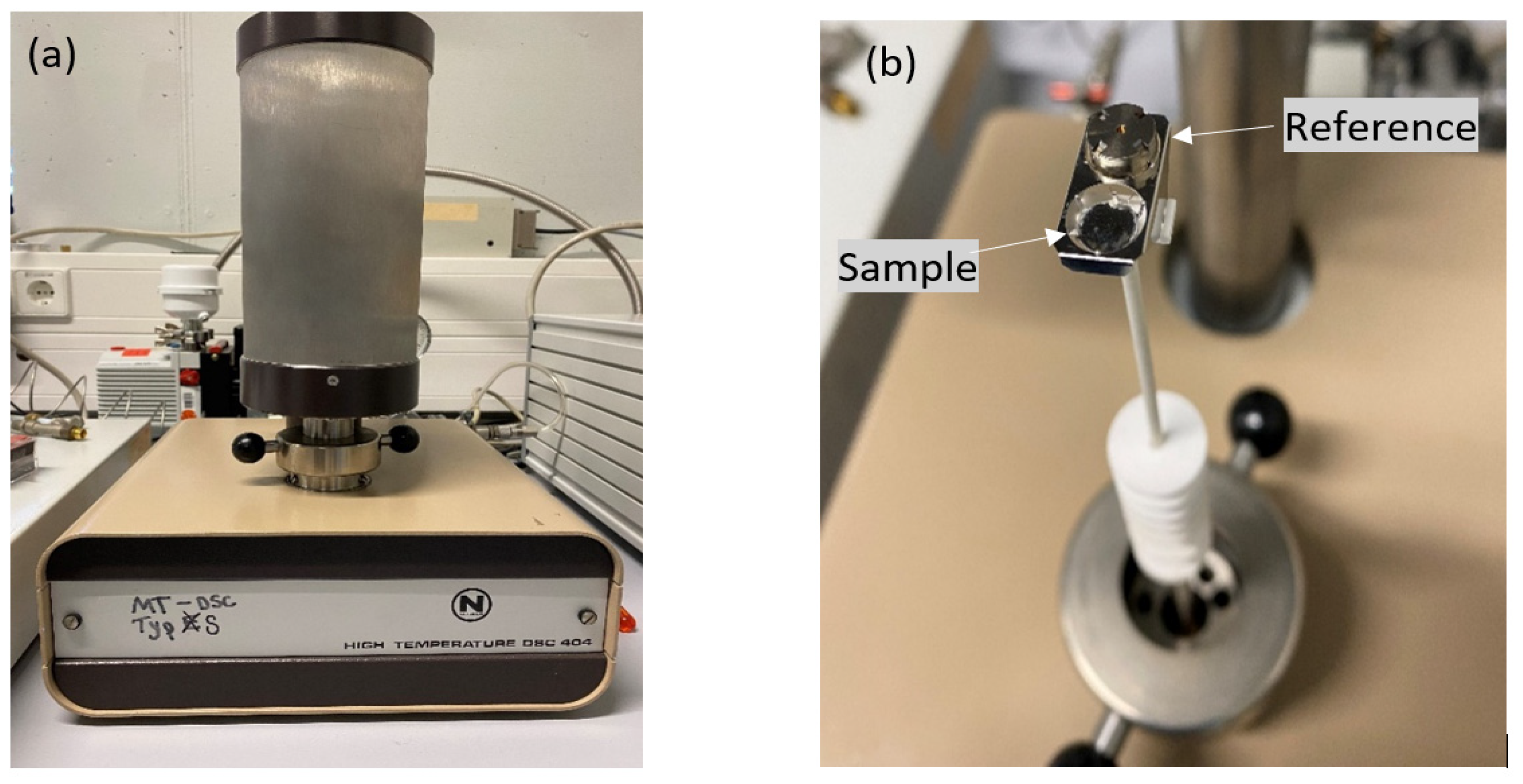 Preprints 148366 g003