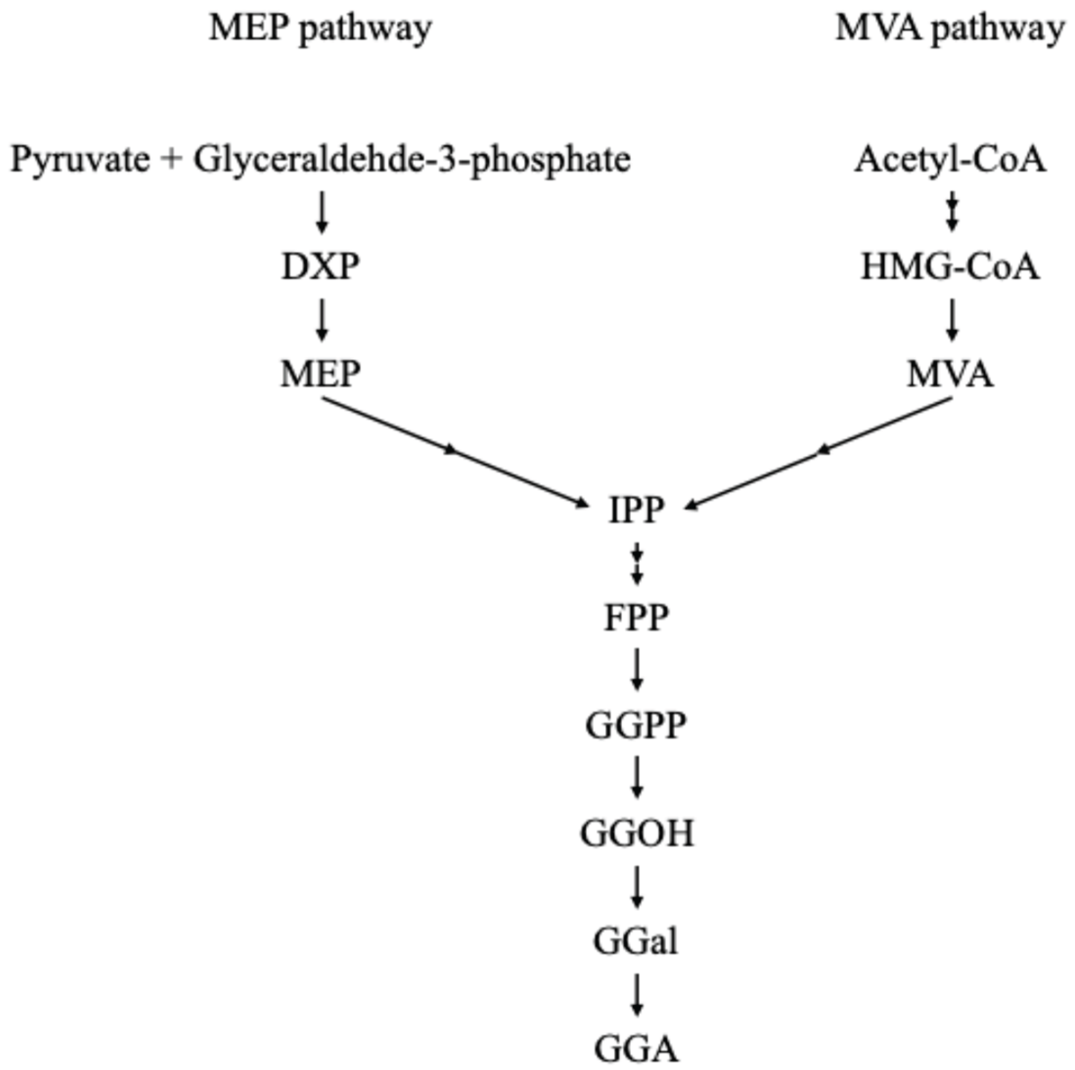 Preprints 166359 g002
