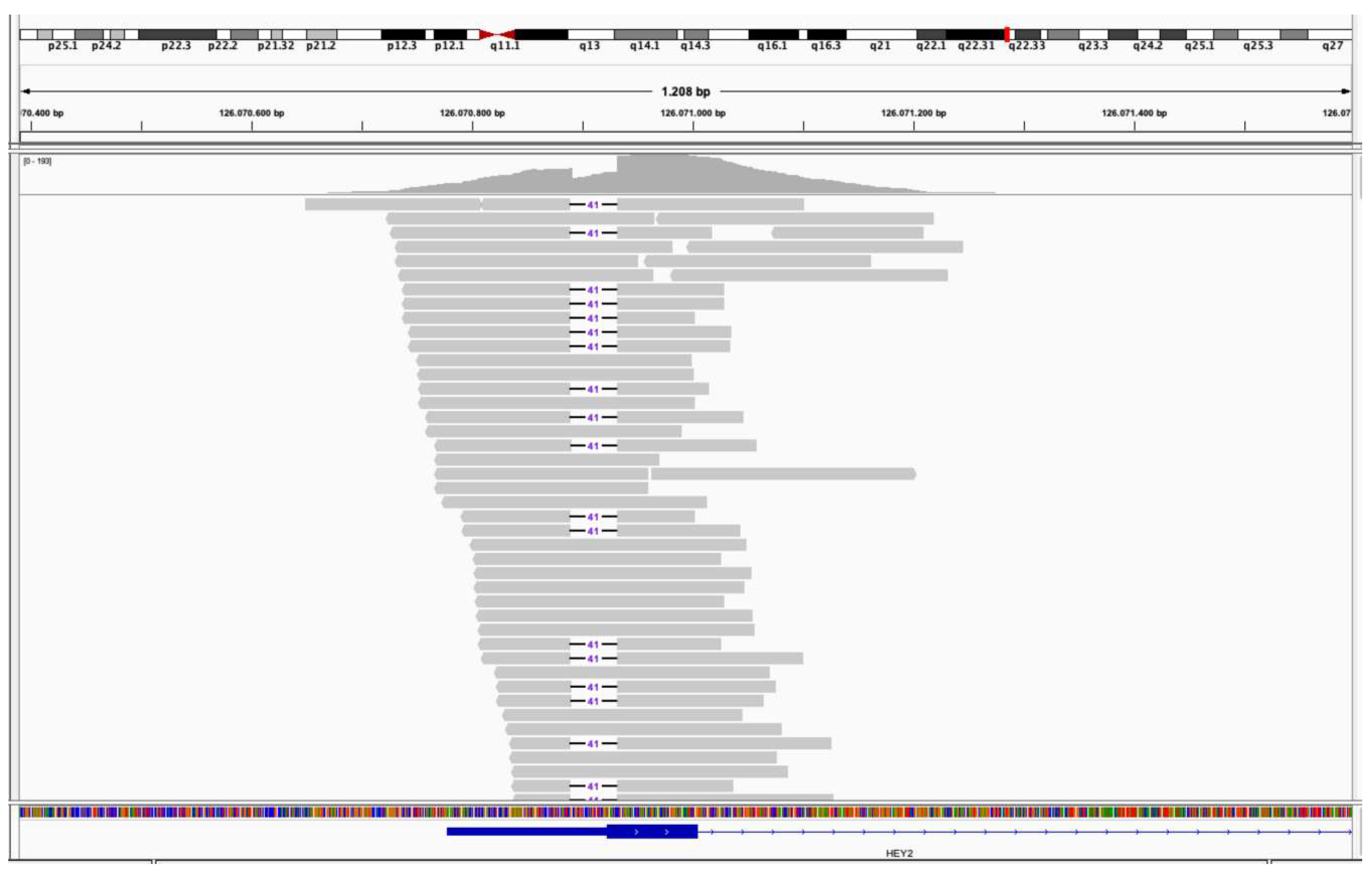 Preprints 217216 g002