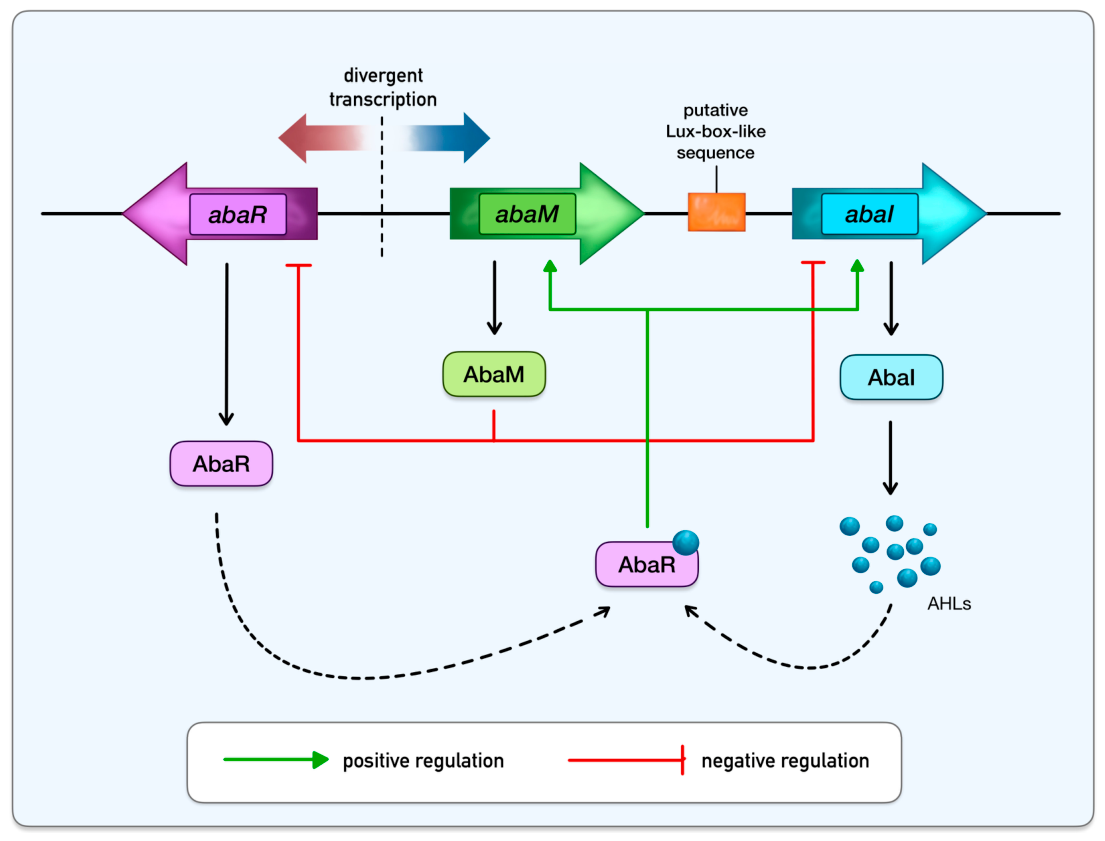 Preprints 233248 g001
