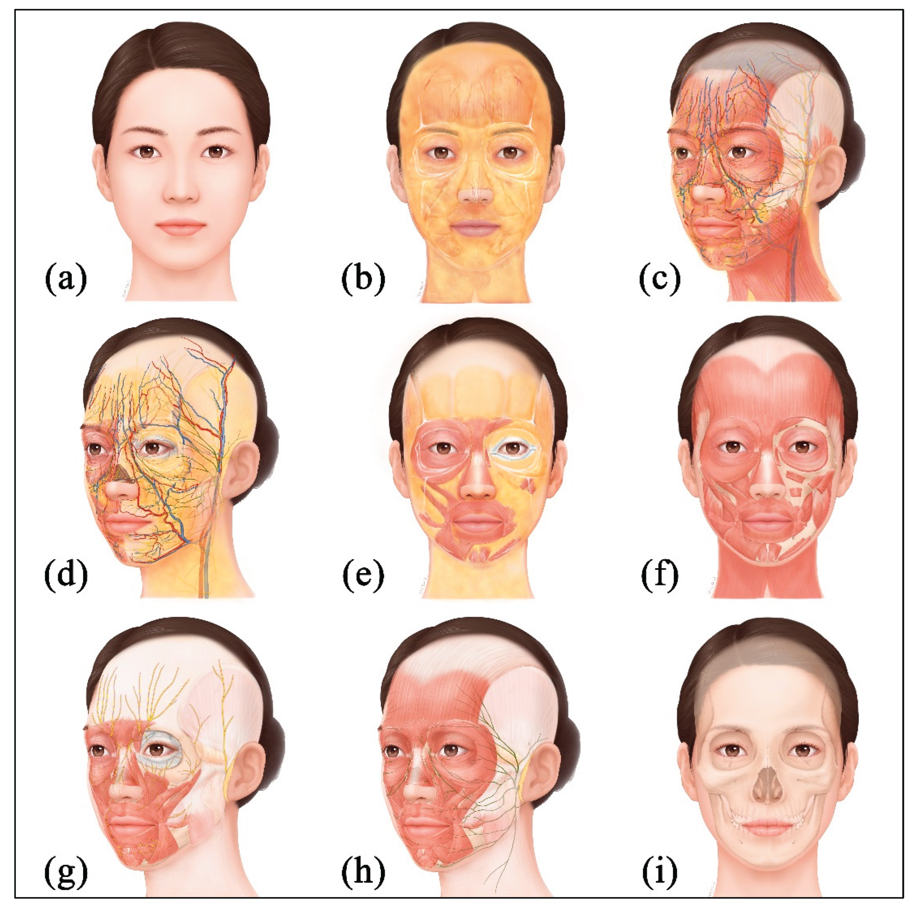 Preprints 185607 g010