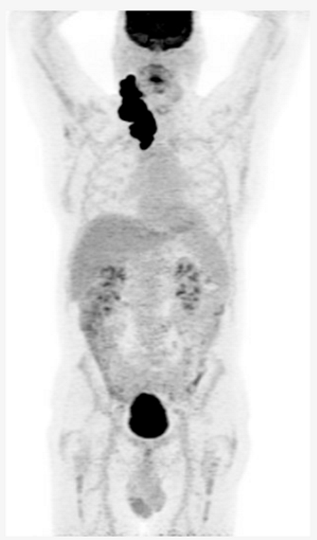 Preprints 147218 i003