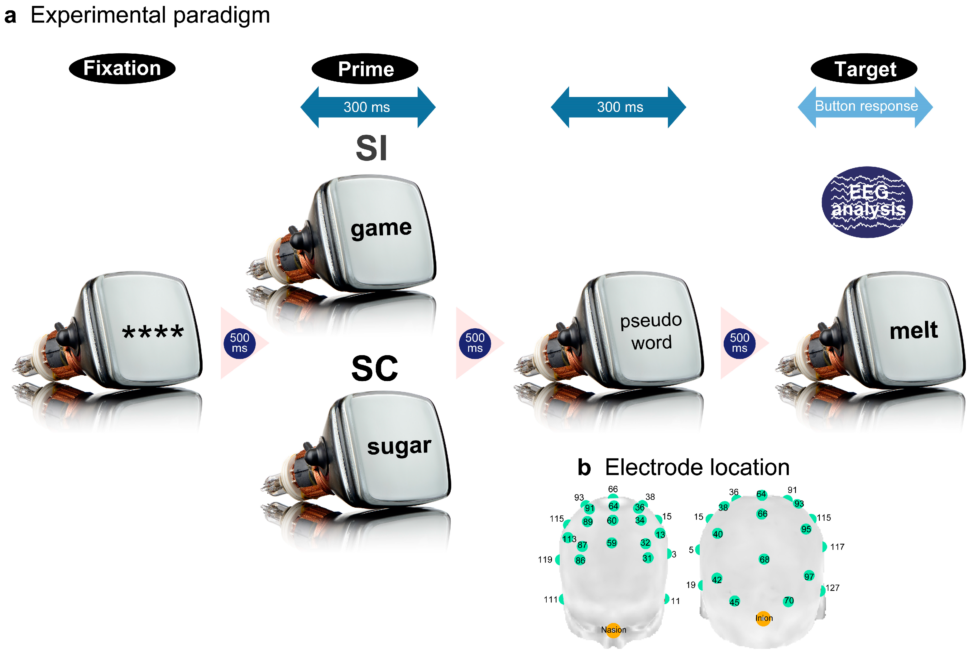 Preprints 90181 g001