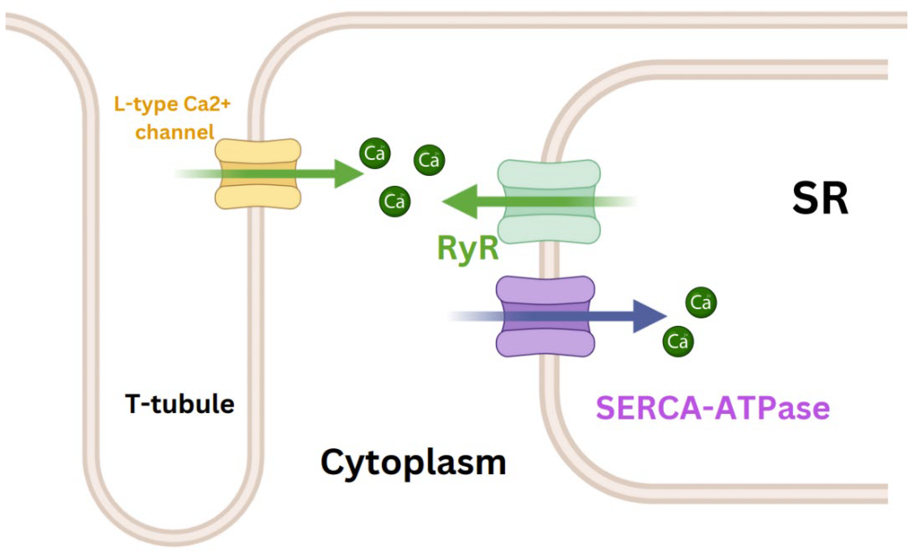 Preprints 107966 g001