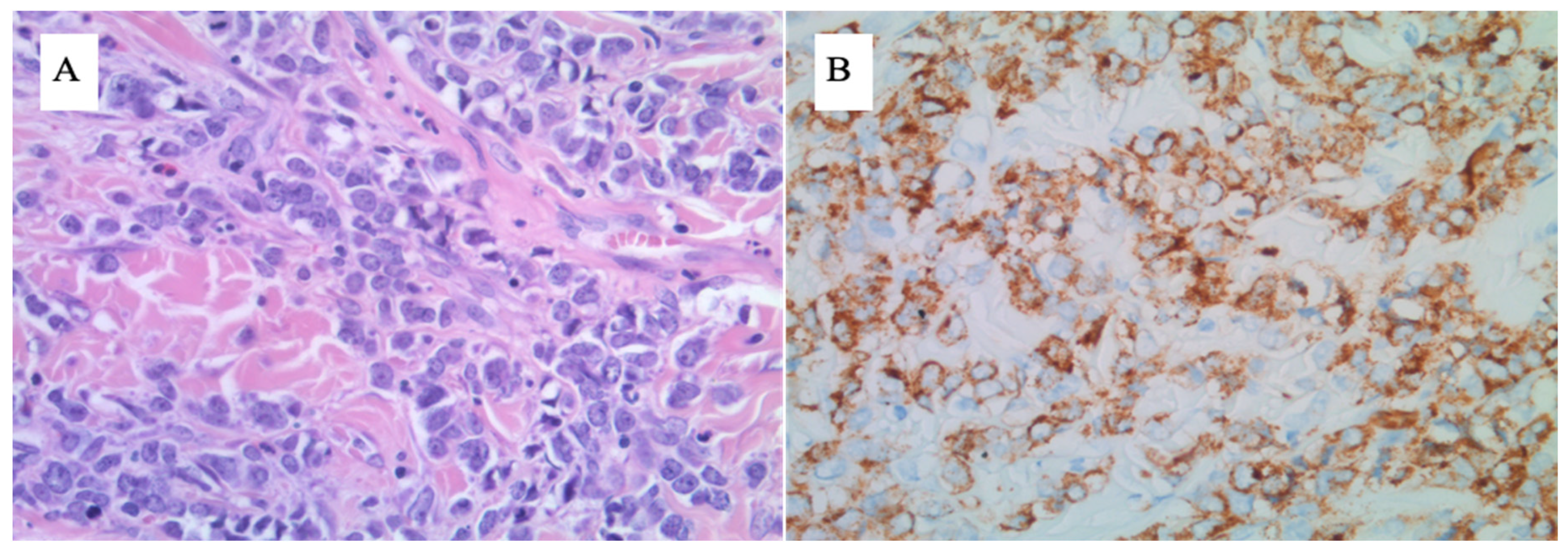 Preprints 76736 g001