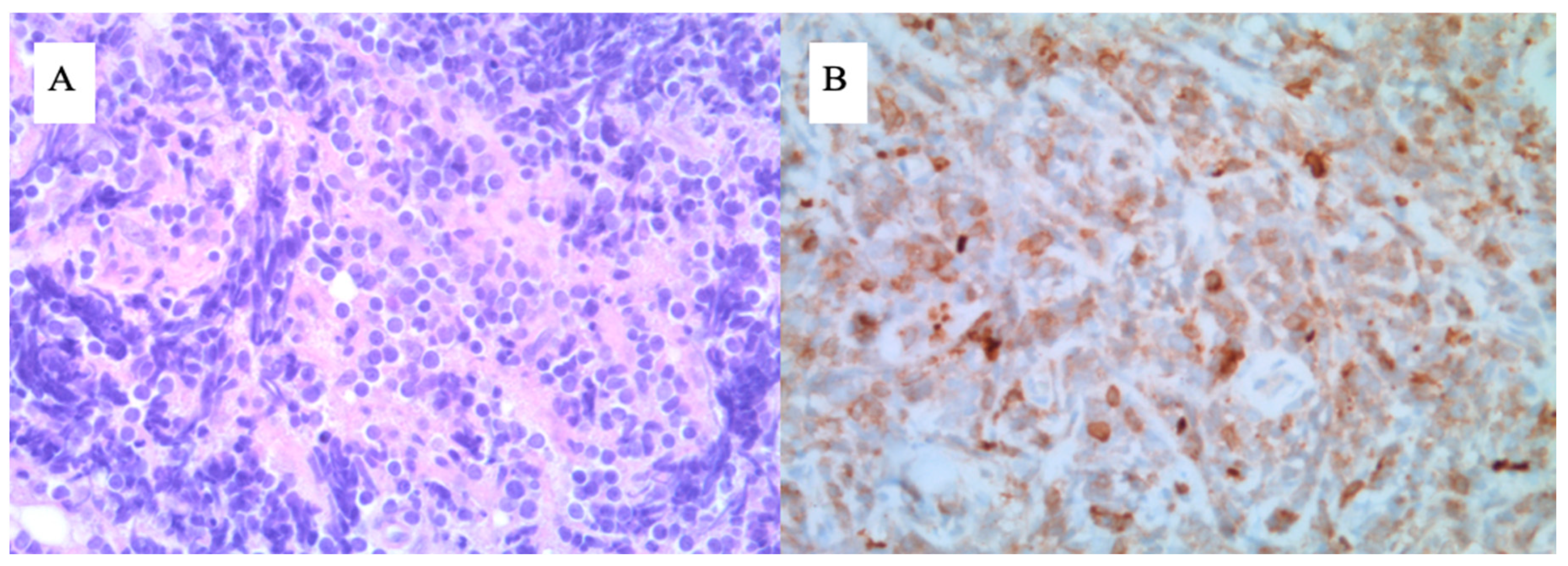Preprints 76736 g004