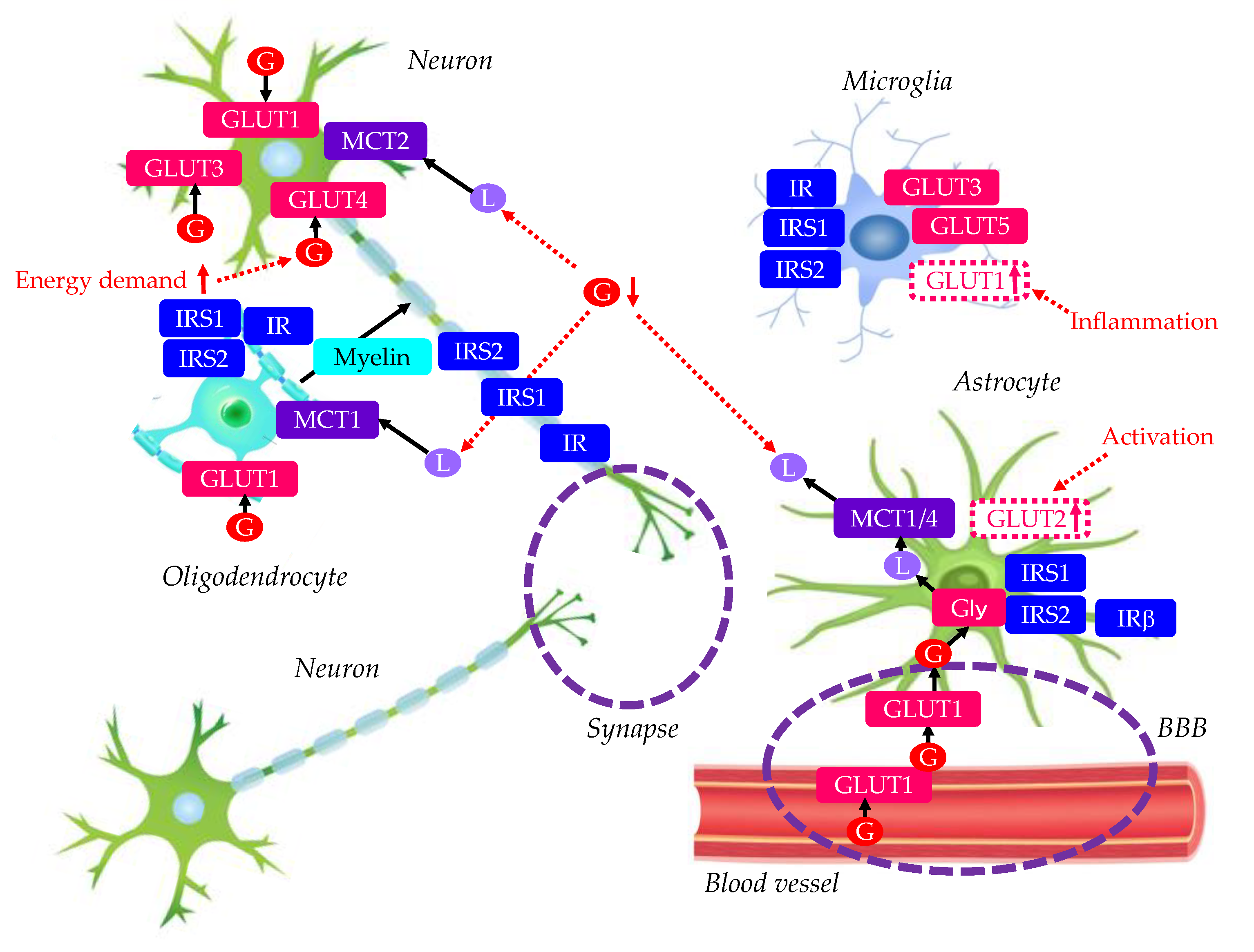 Preprints 121938 g001