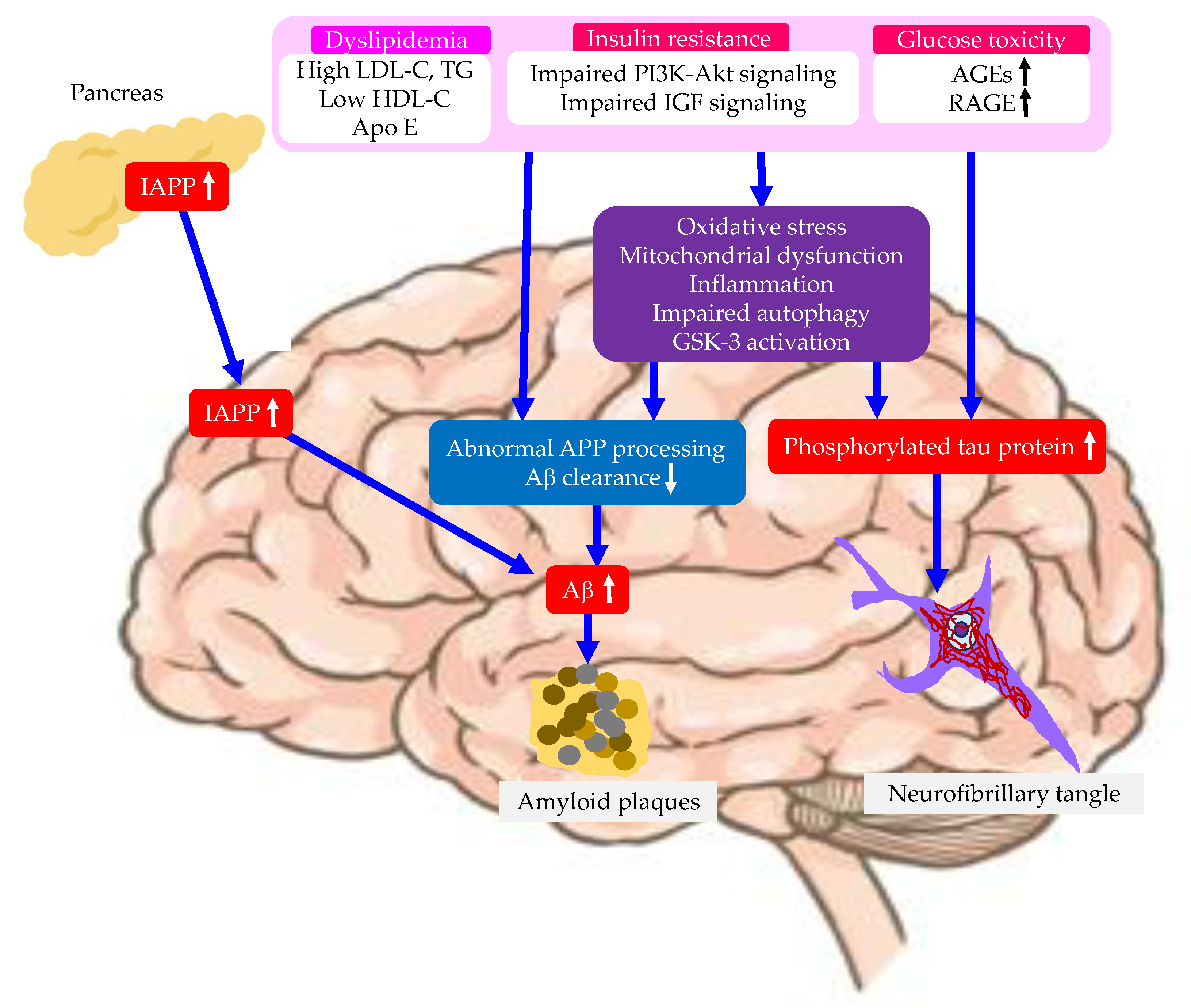 Preprints 121938 g003