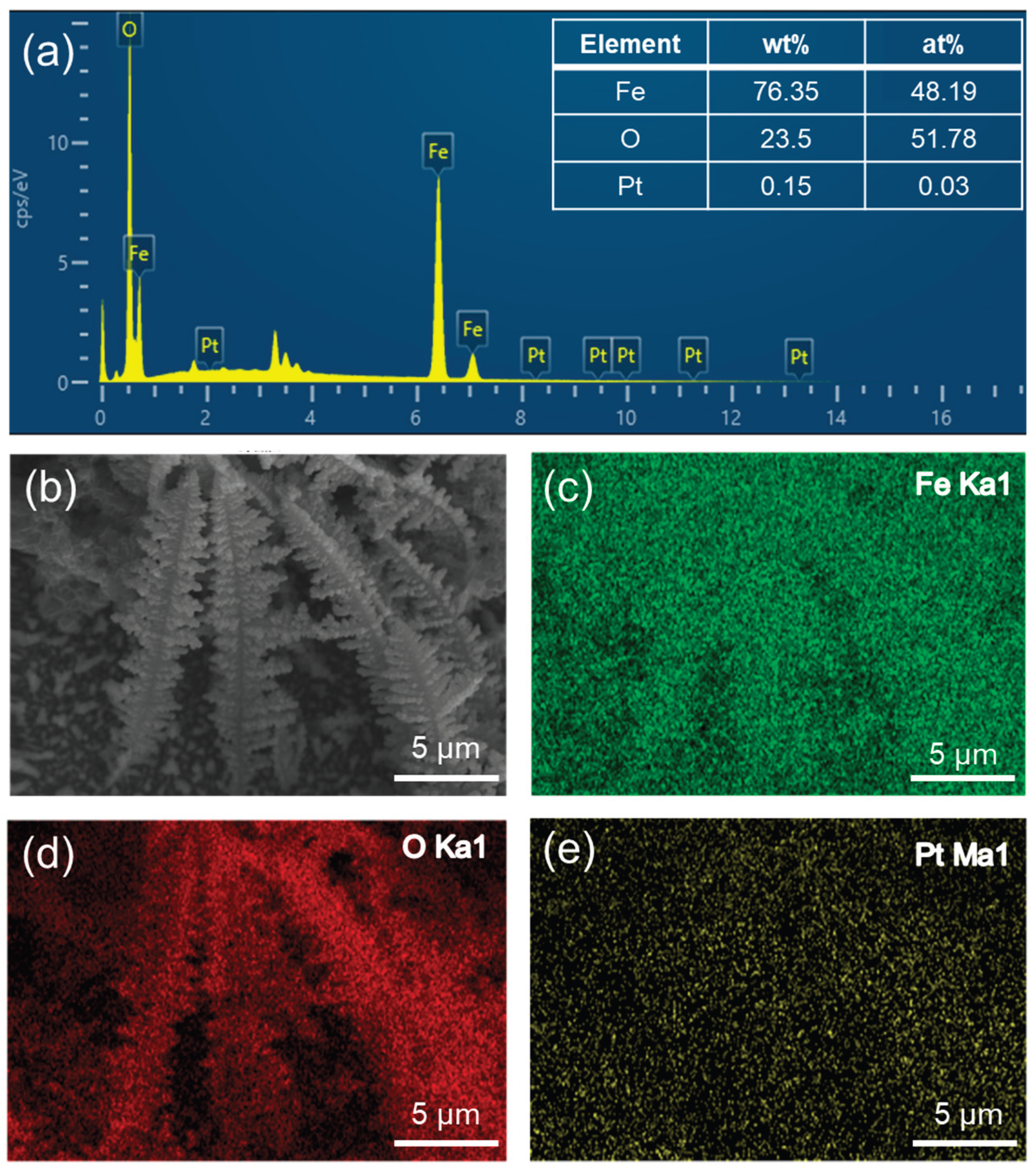 Preprints 195685 g003
