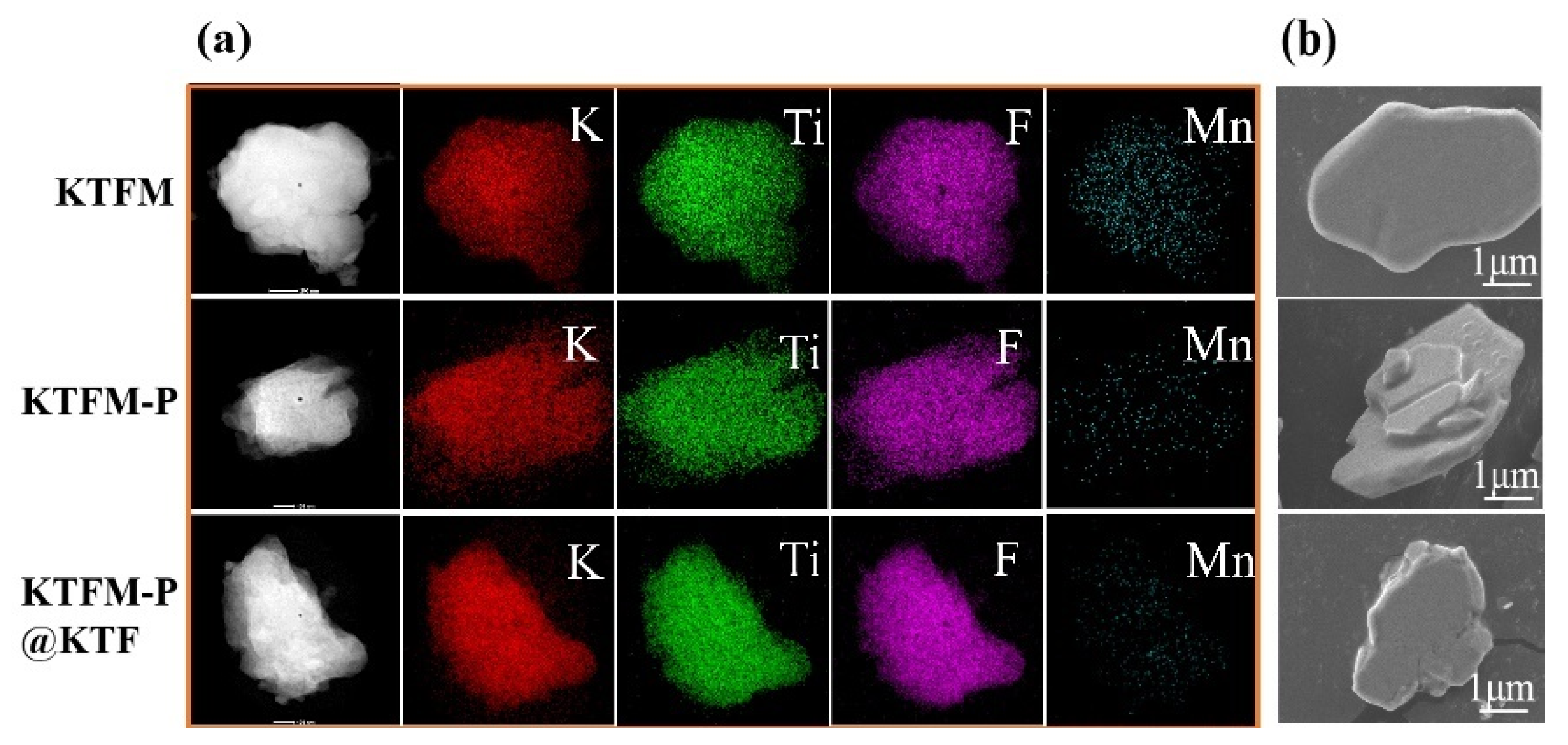 Preprints 208363 g002