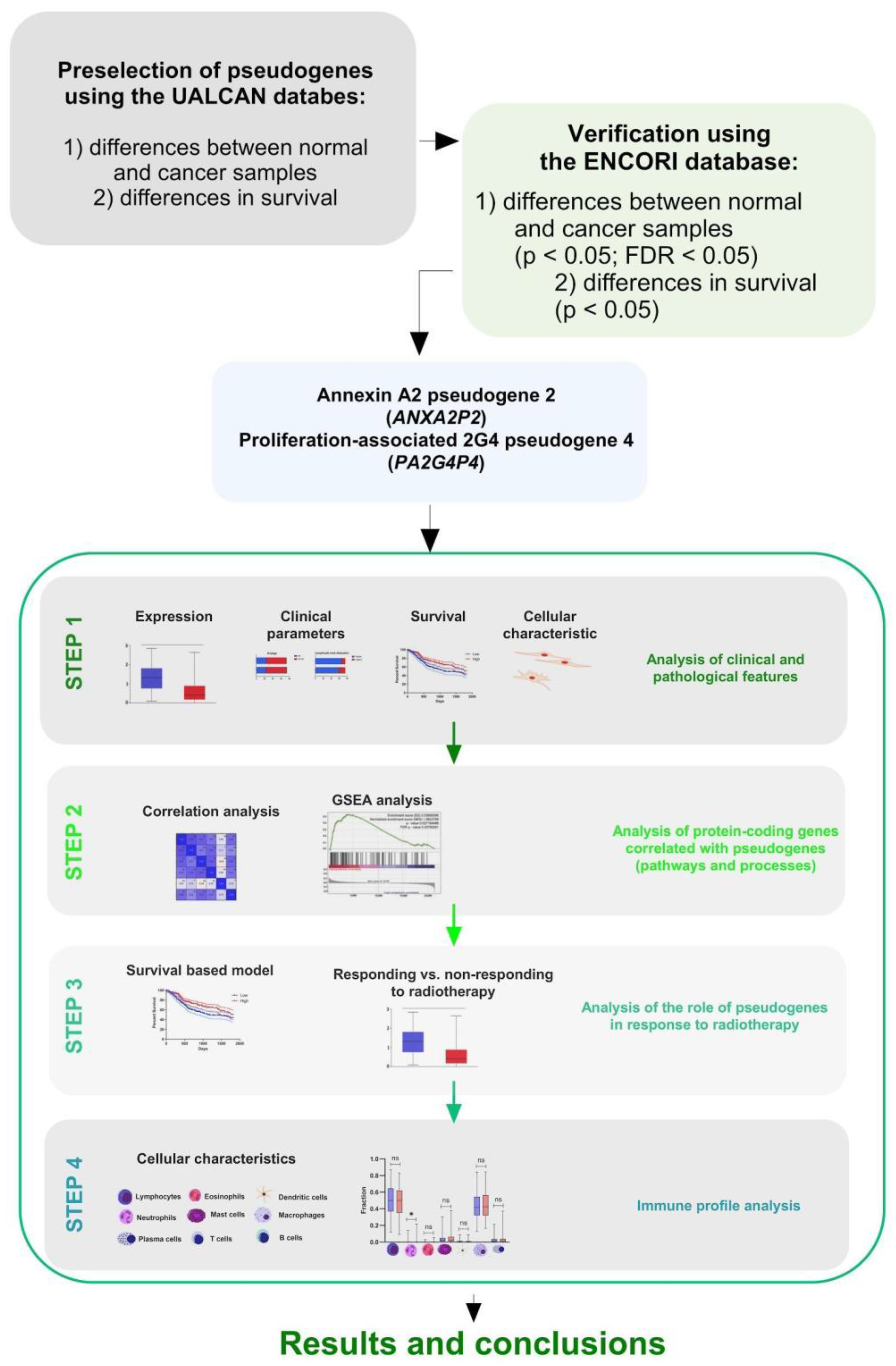 Preprints 192246 g001