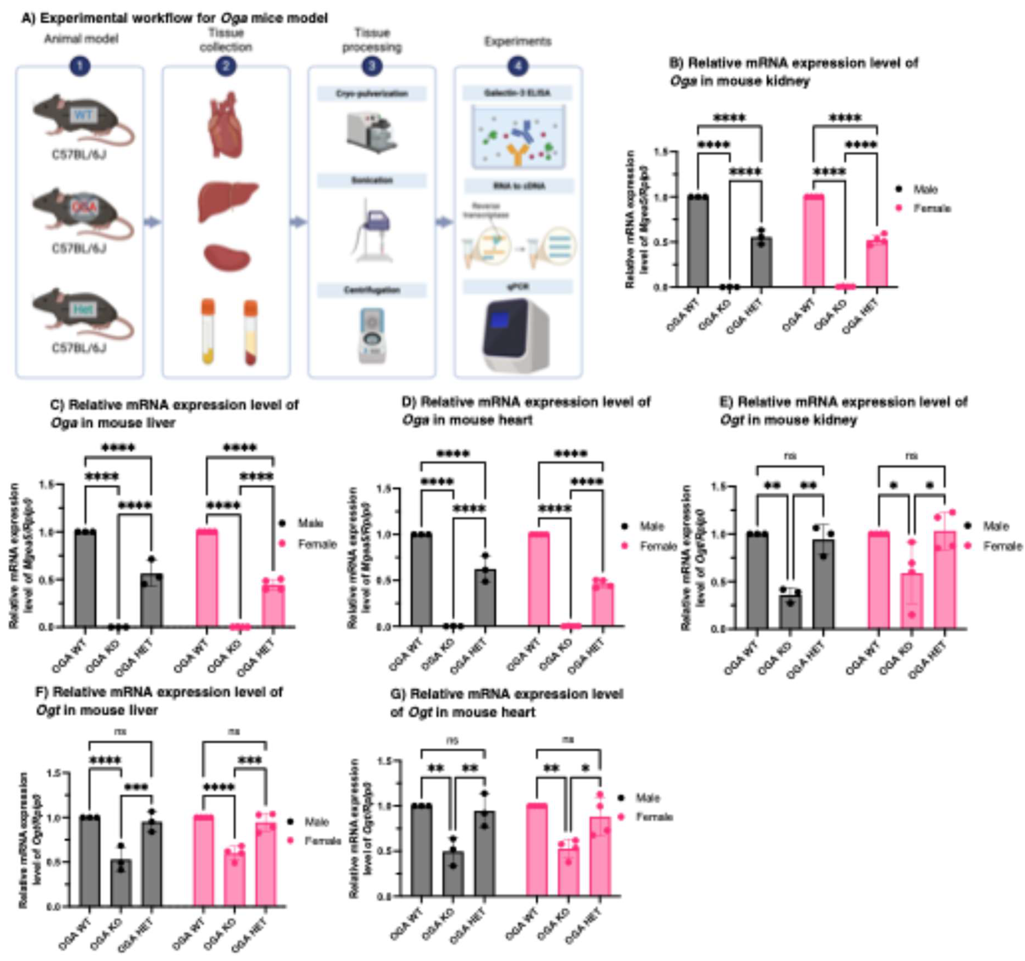 Preprints 194177 g002