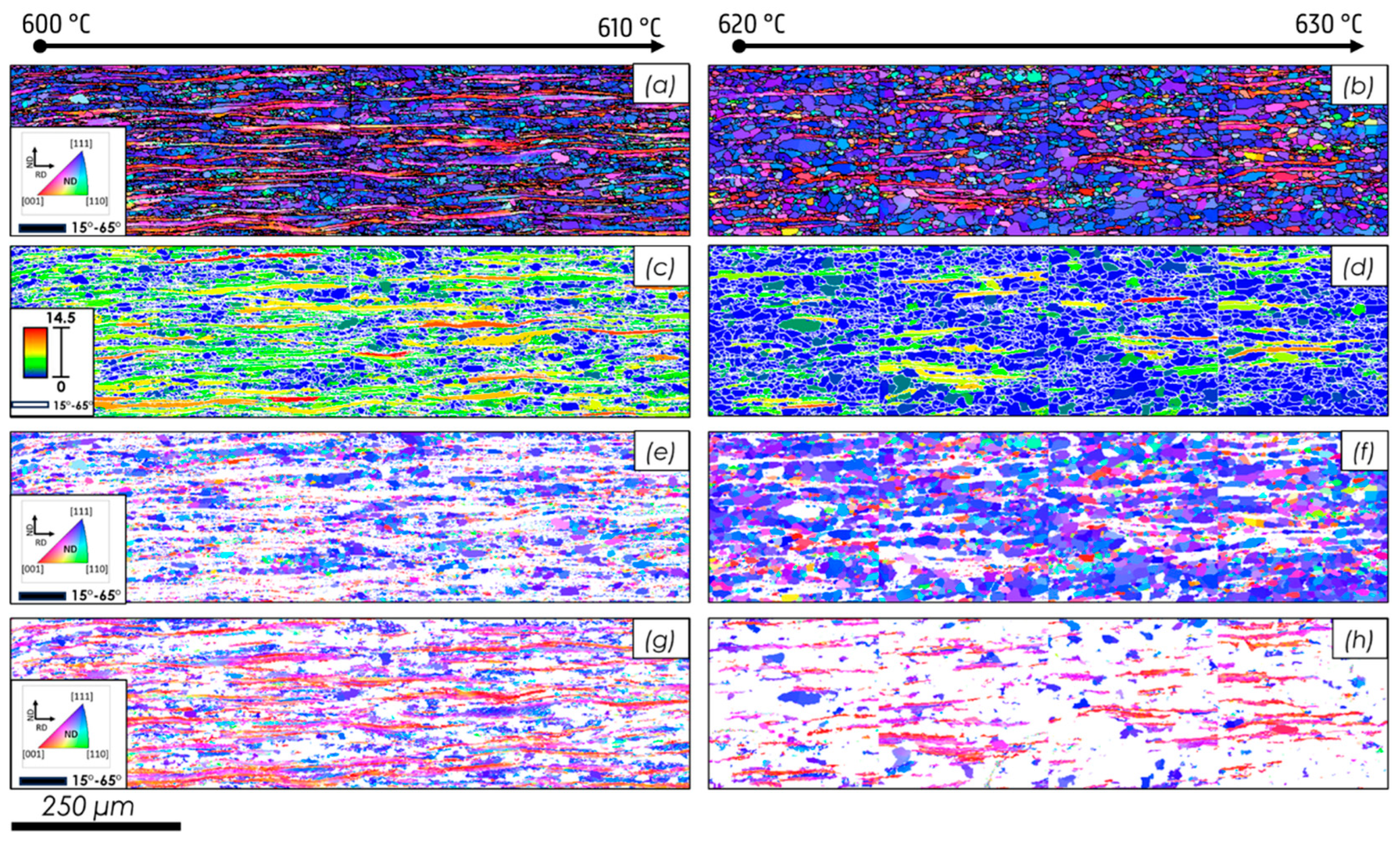 Preprints 165351 g006