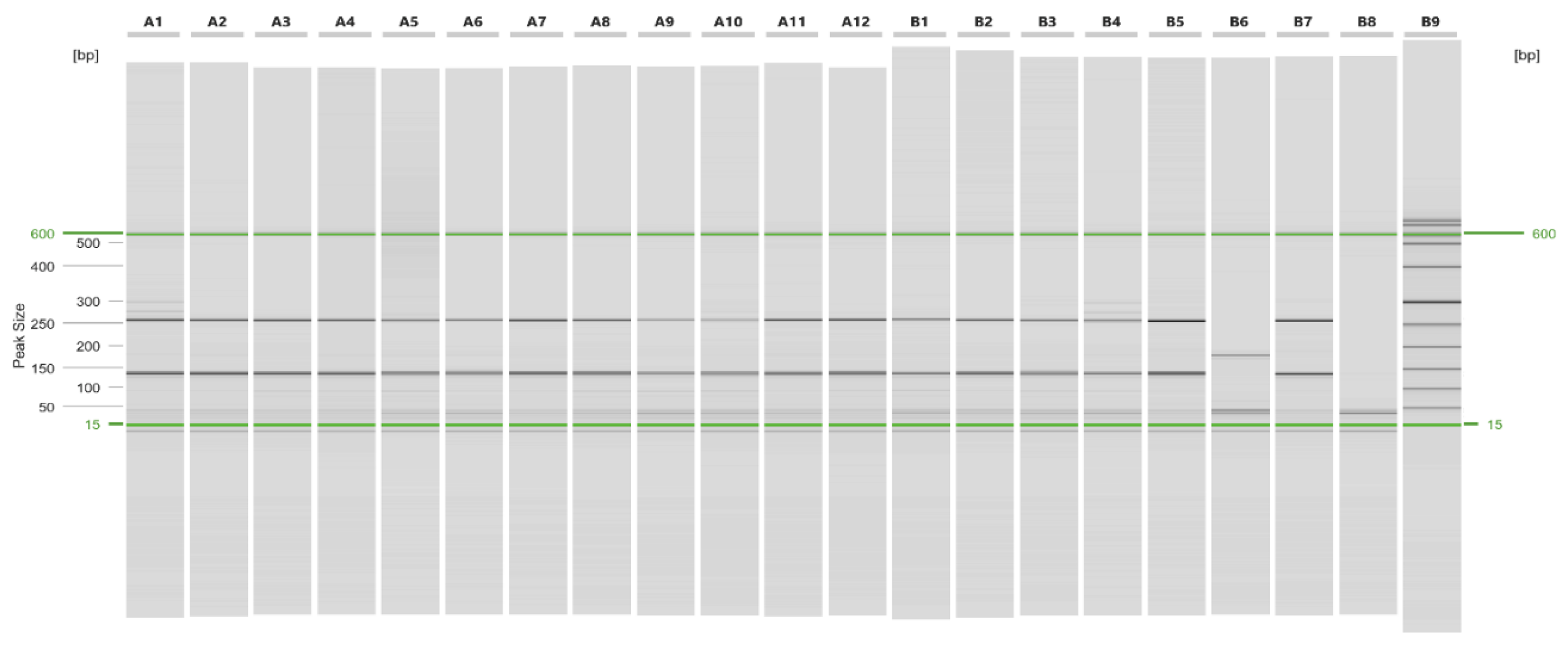 Preprints 226827 g002