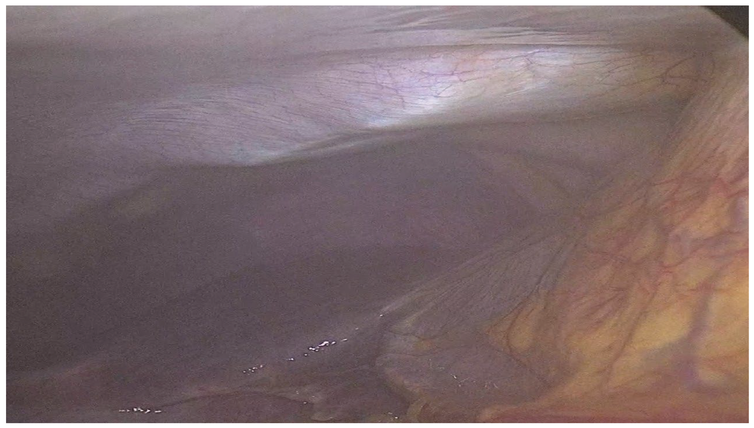 Preprints 183218 g001