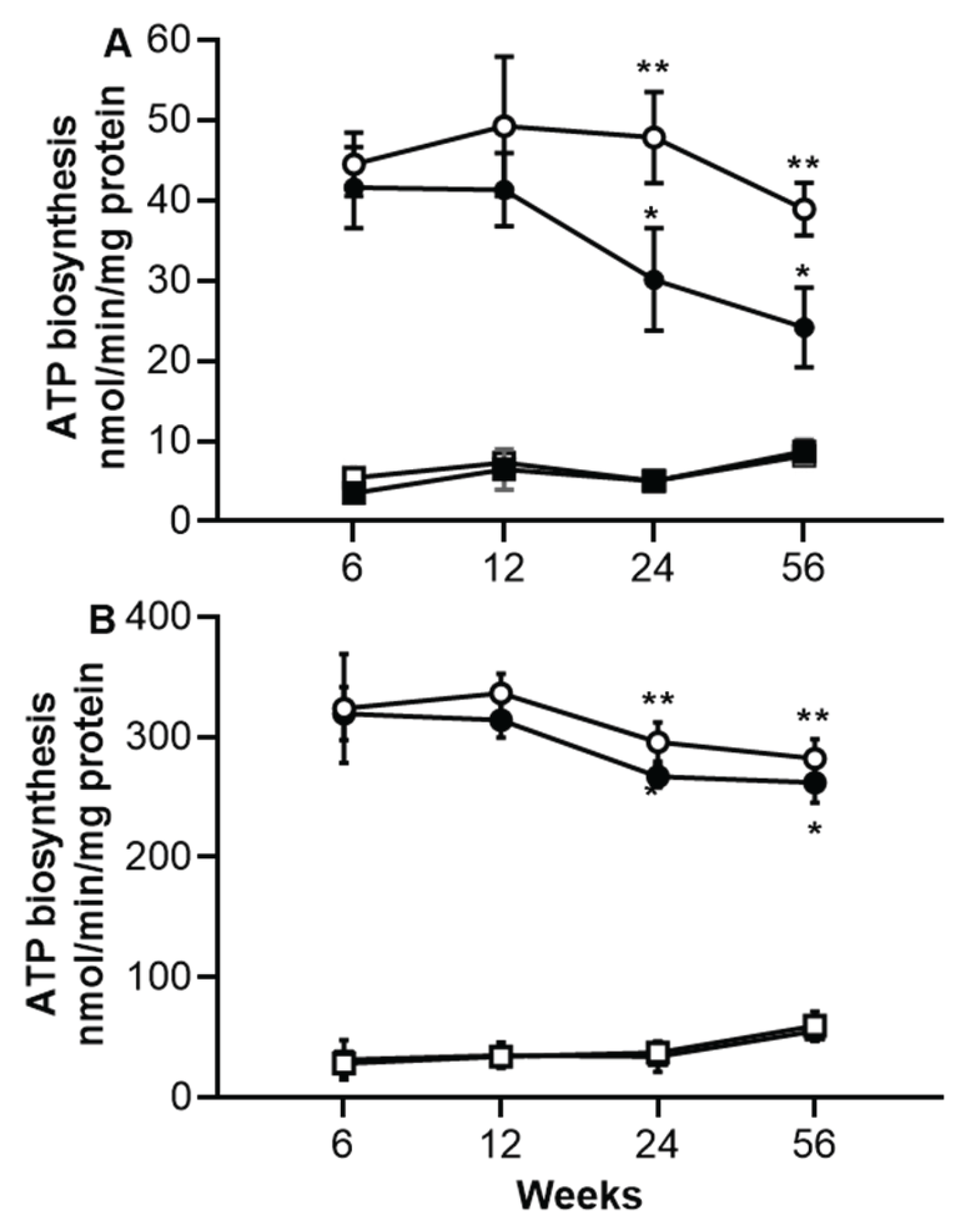 Preprints 165104 g002