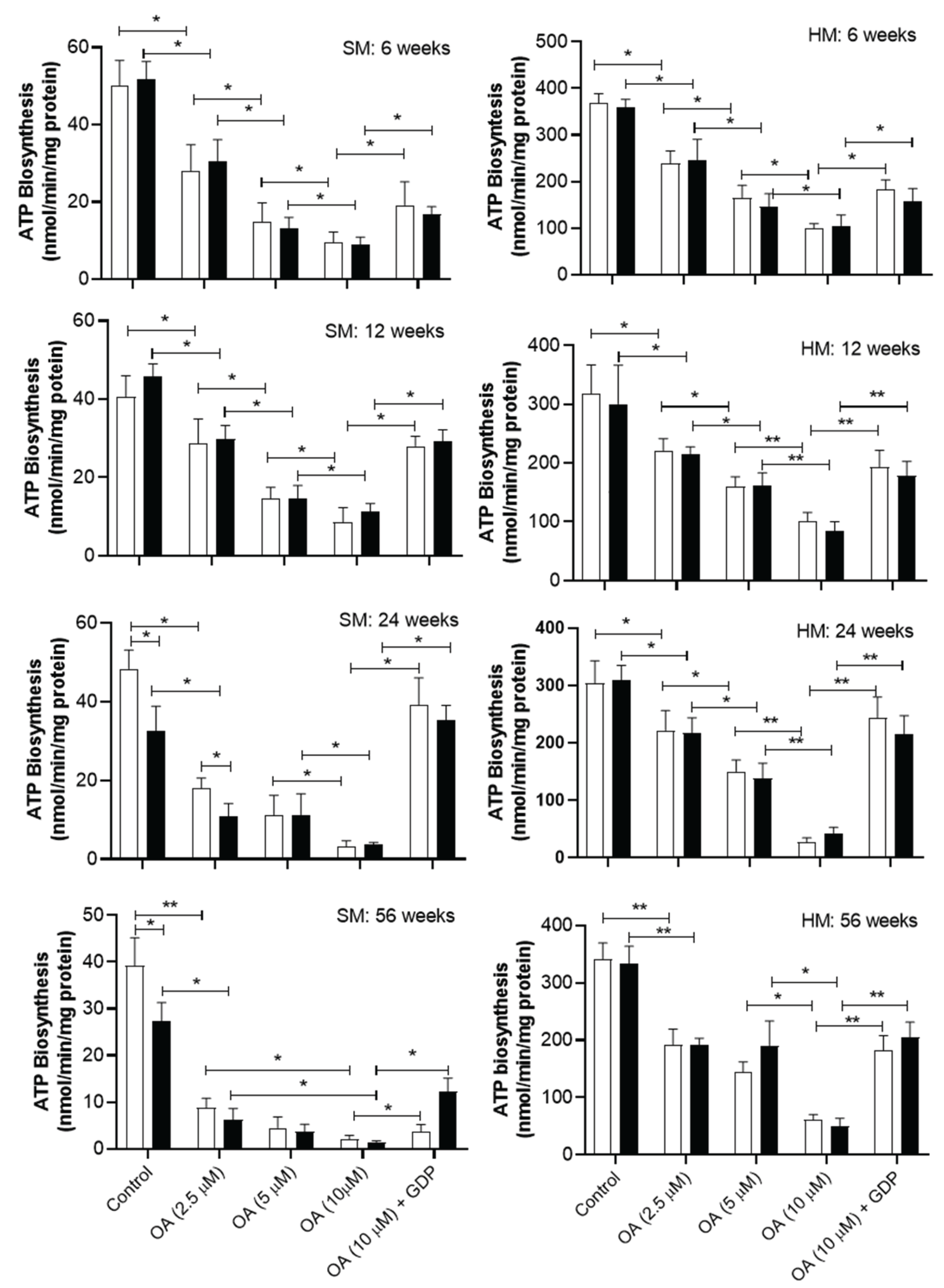 Preprints 165104 g003