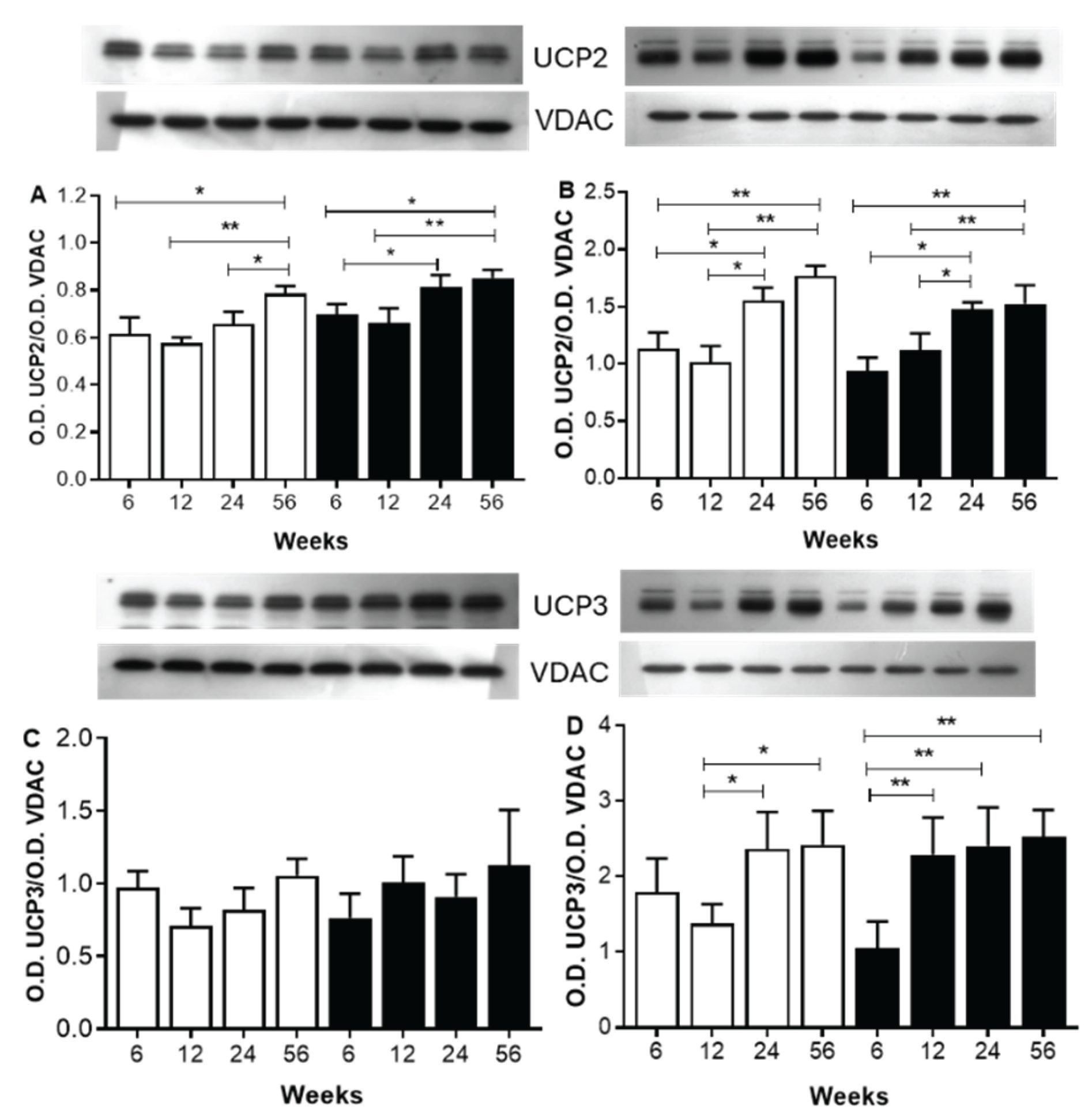 Preprints 165104 g004