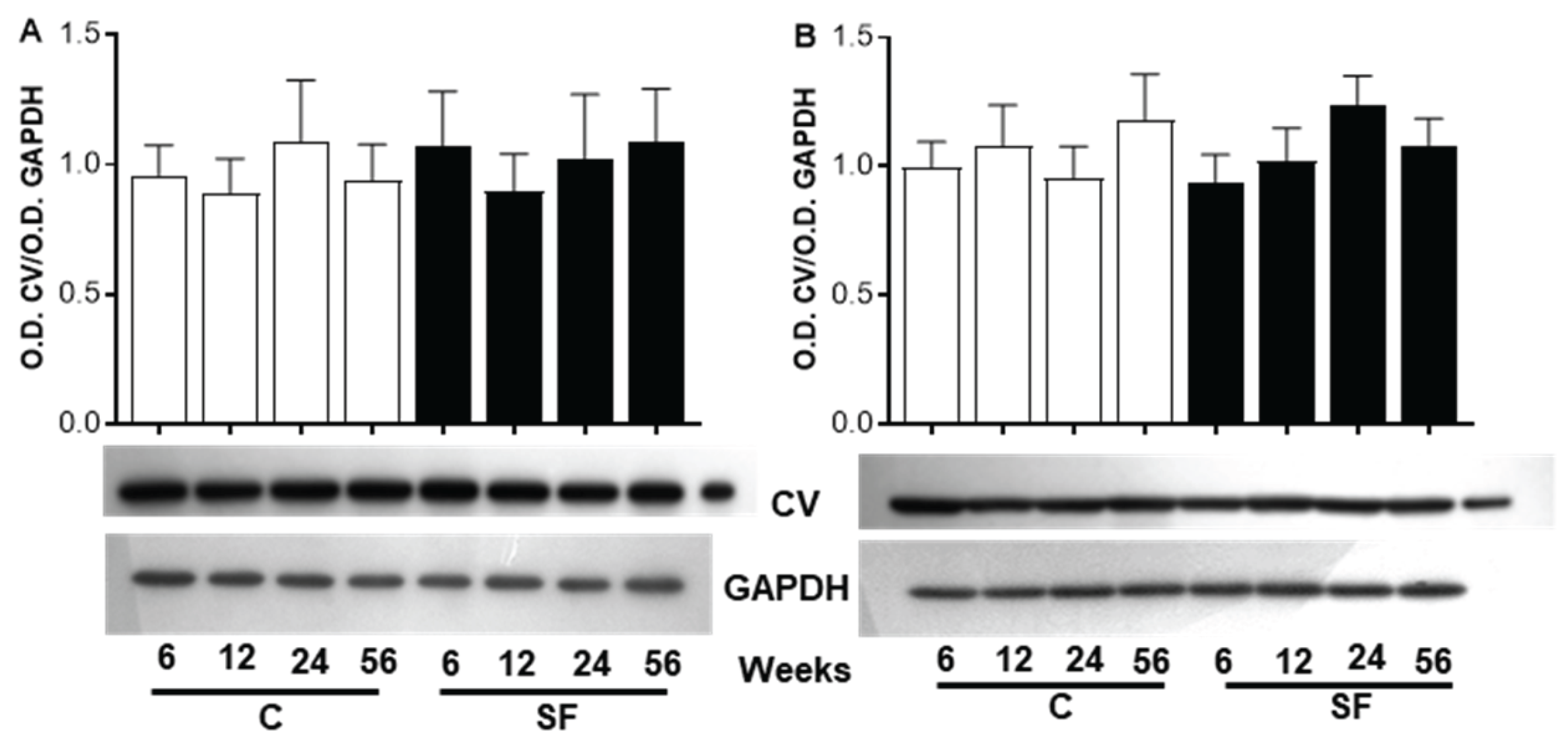 Preprints 165104 g005