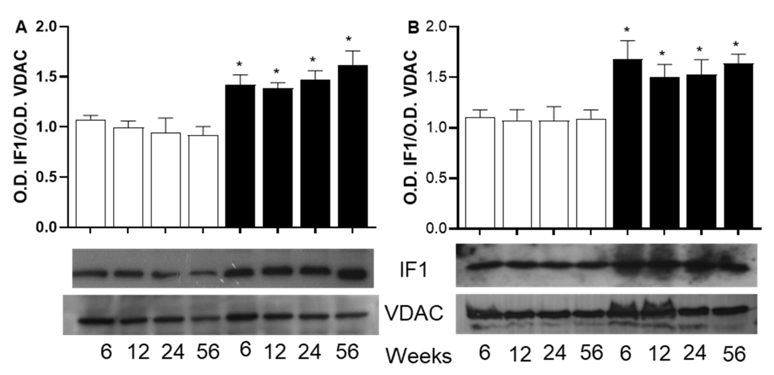 Preprints 165104 g006