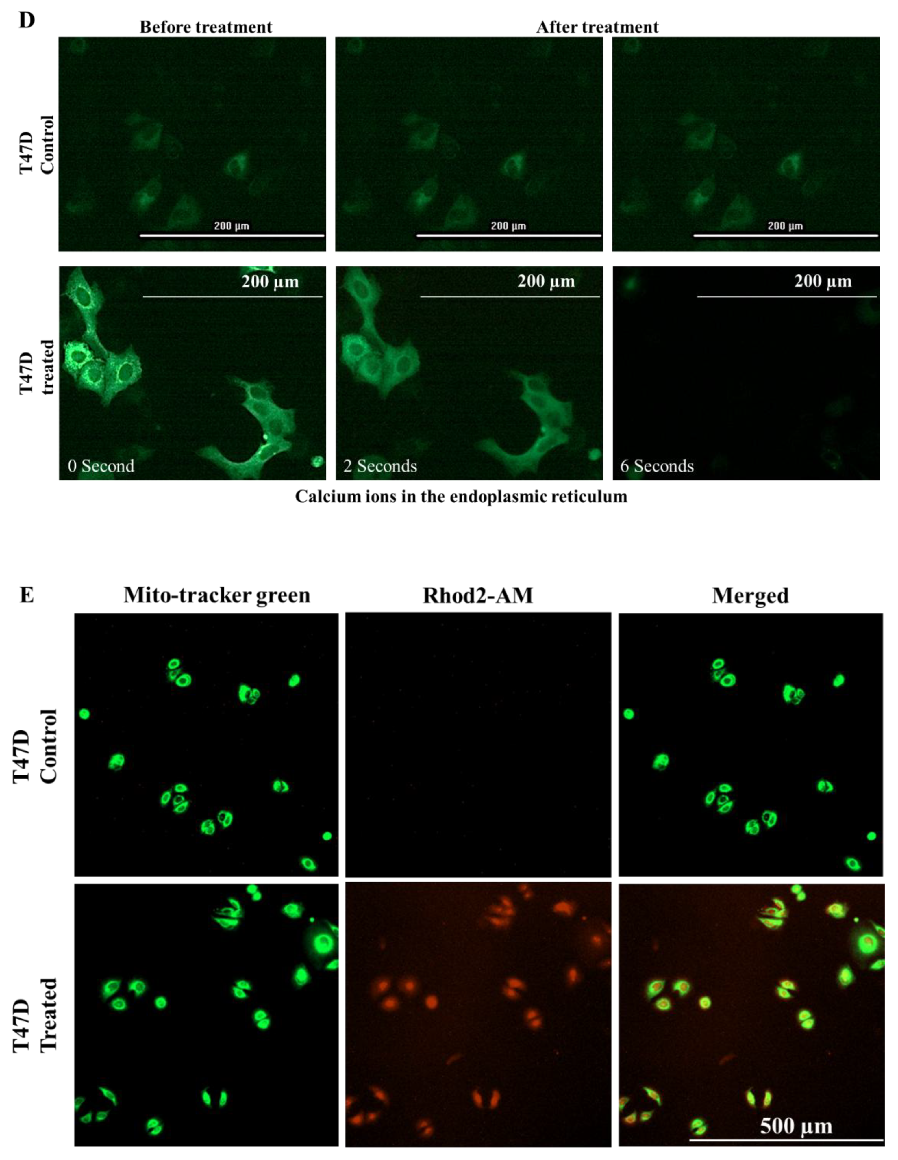 Preprints 191874 g005b