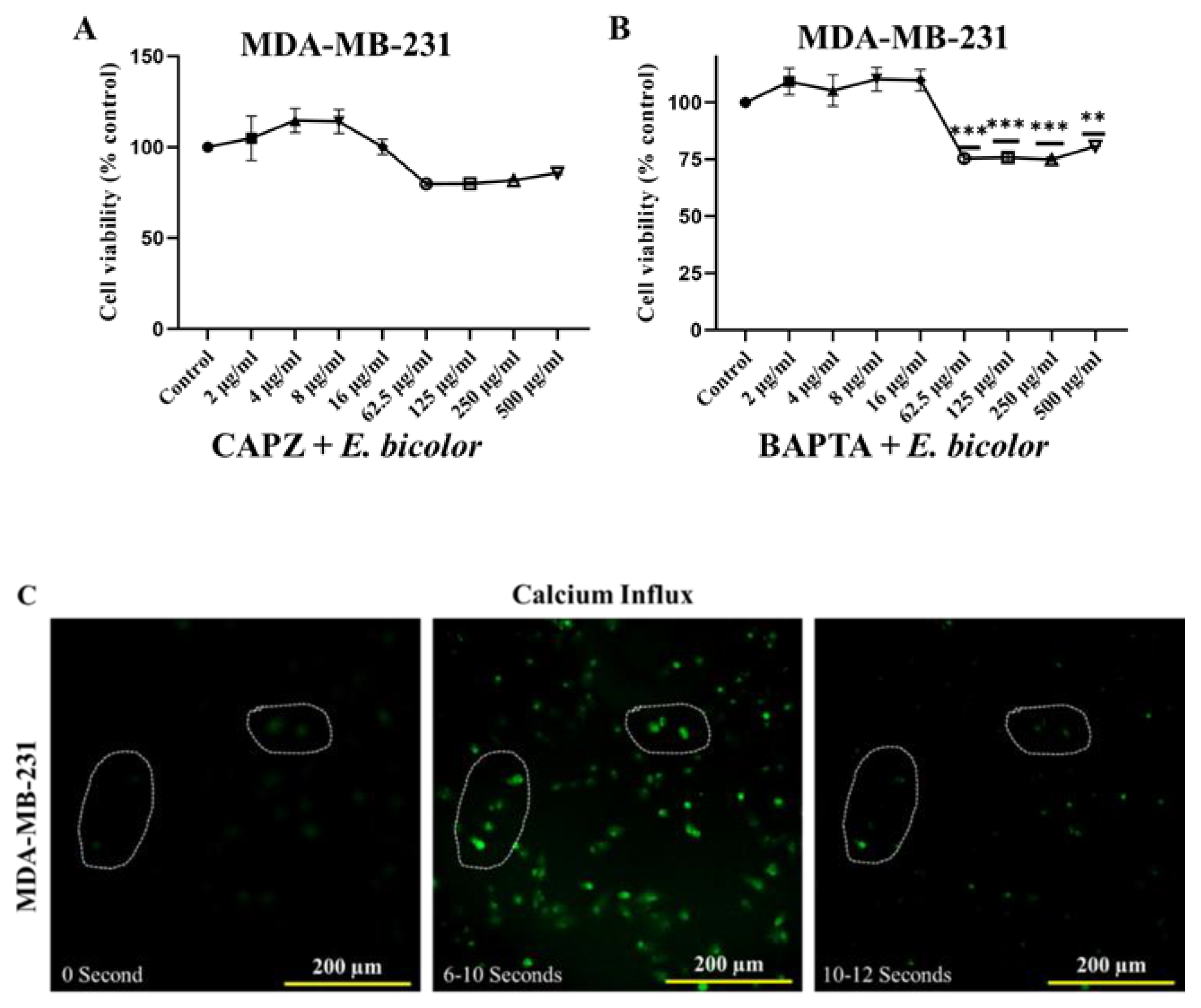 Preprints 191874 g006a