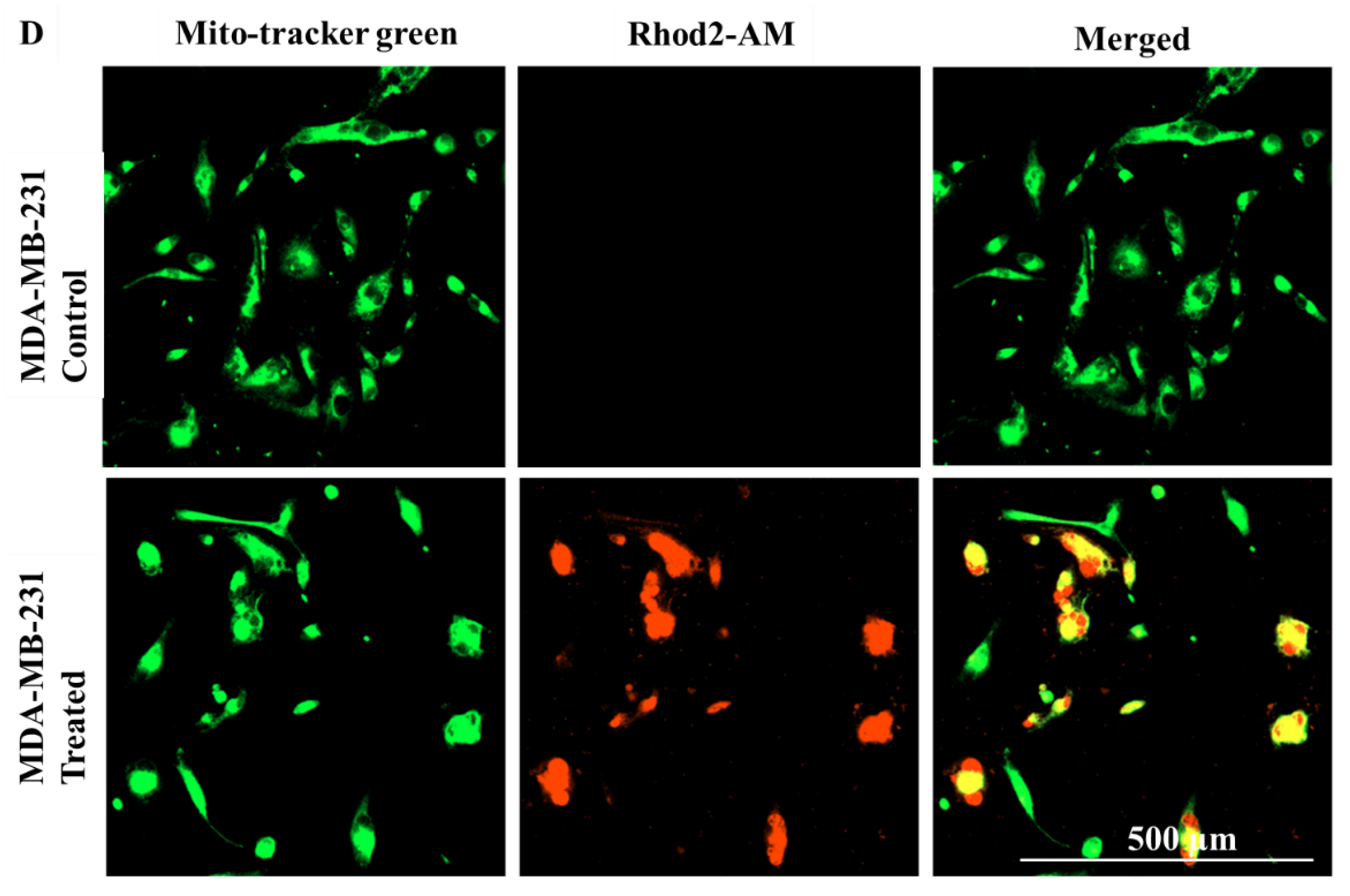 Preprints 191874 g006b