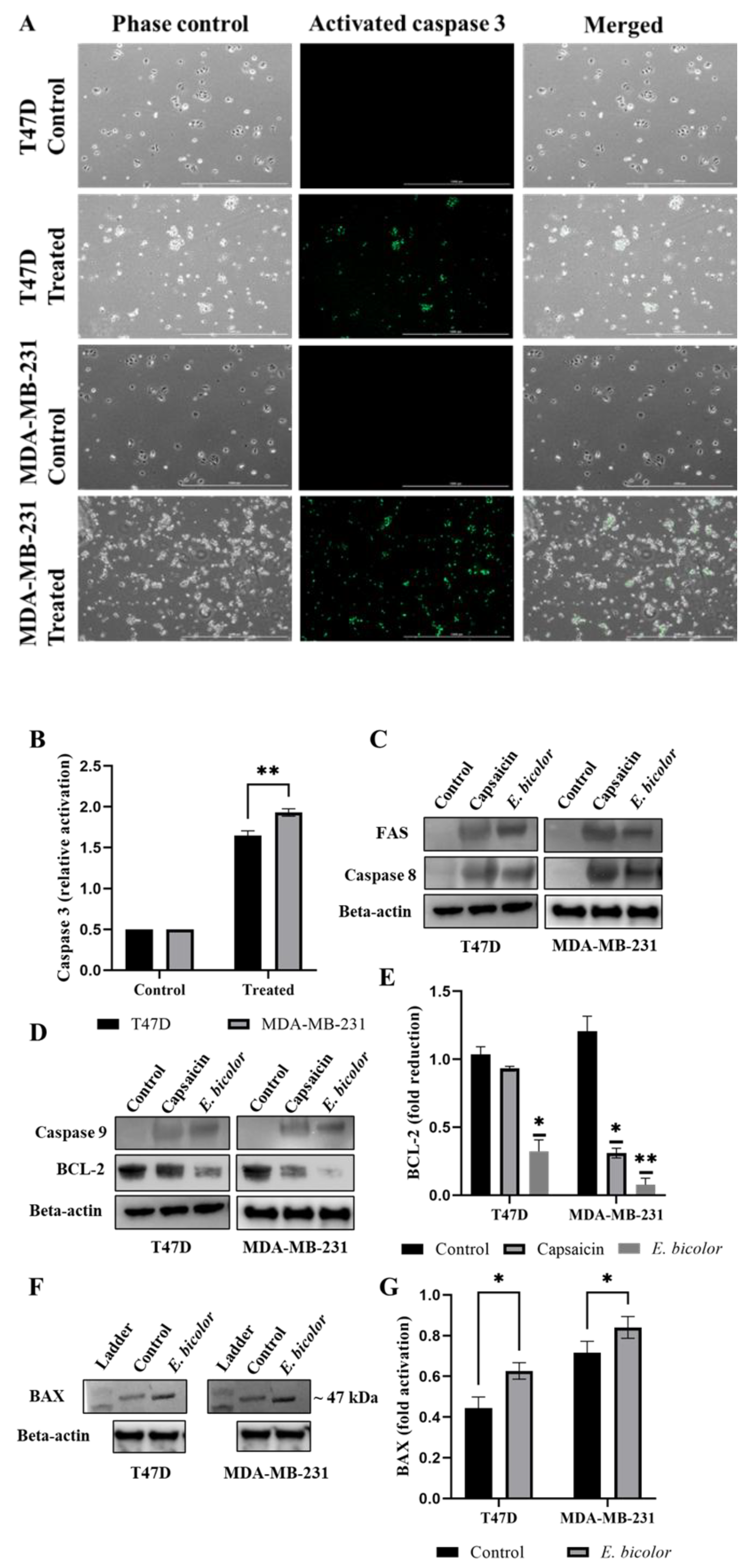 Preprints 191874 g007