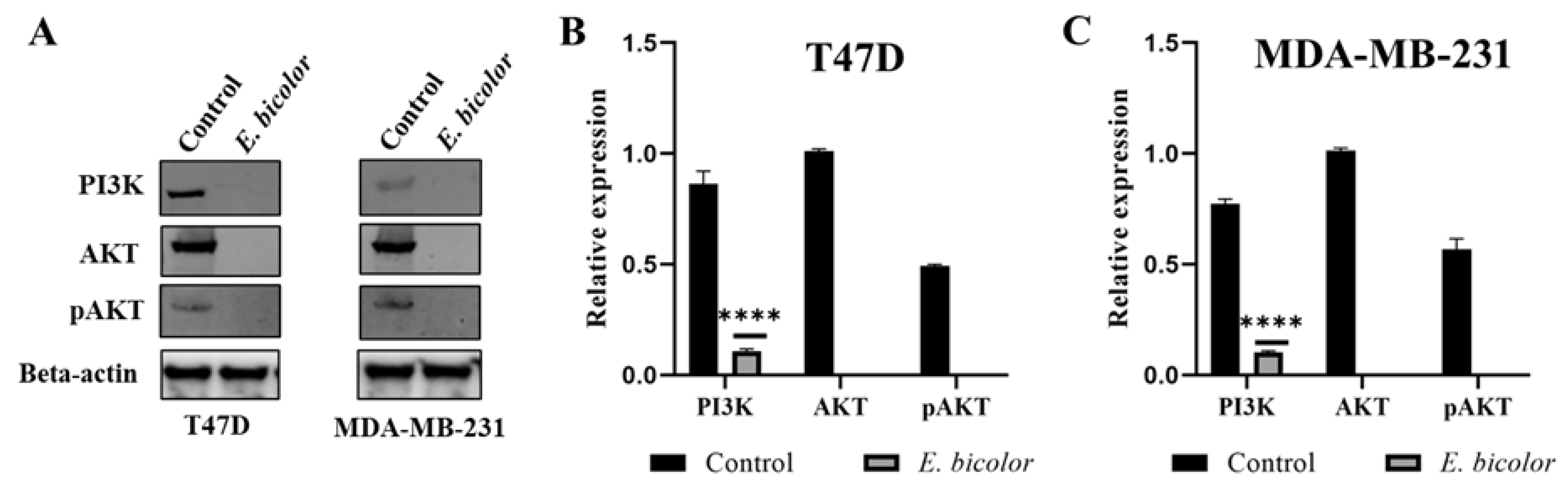 Preprints 191874 g008