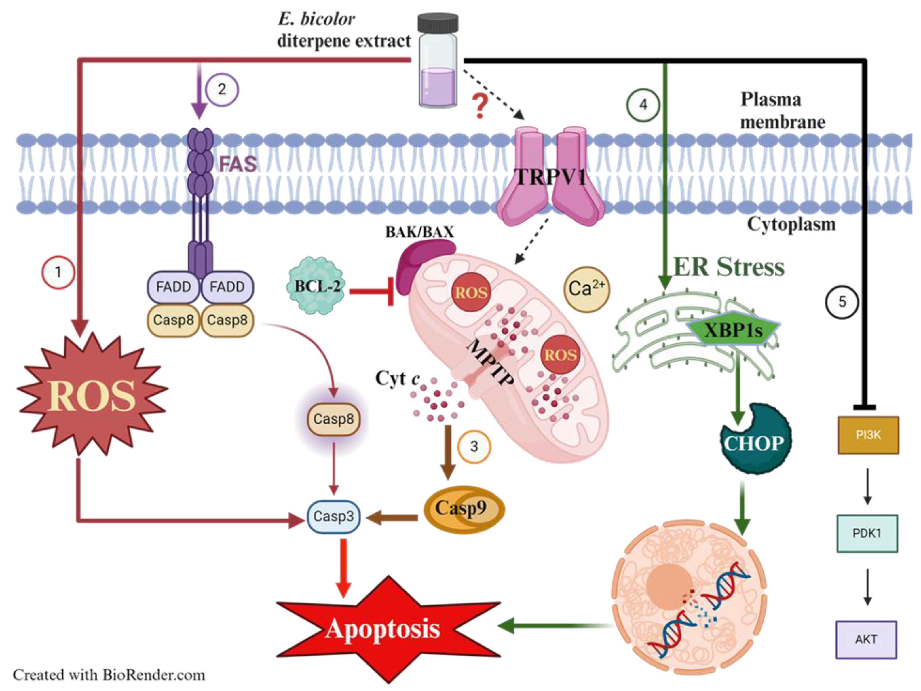 Preprints 191874 g010