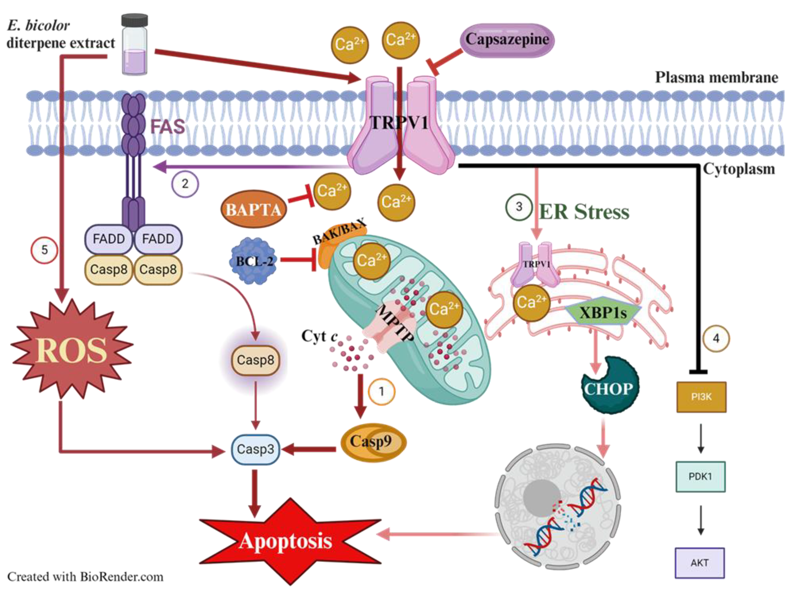 Preprints 191874 g011
